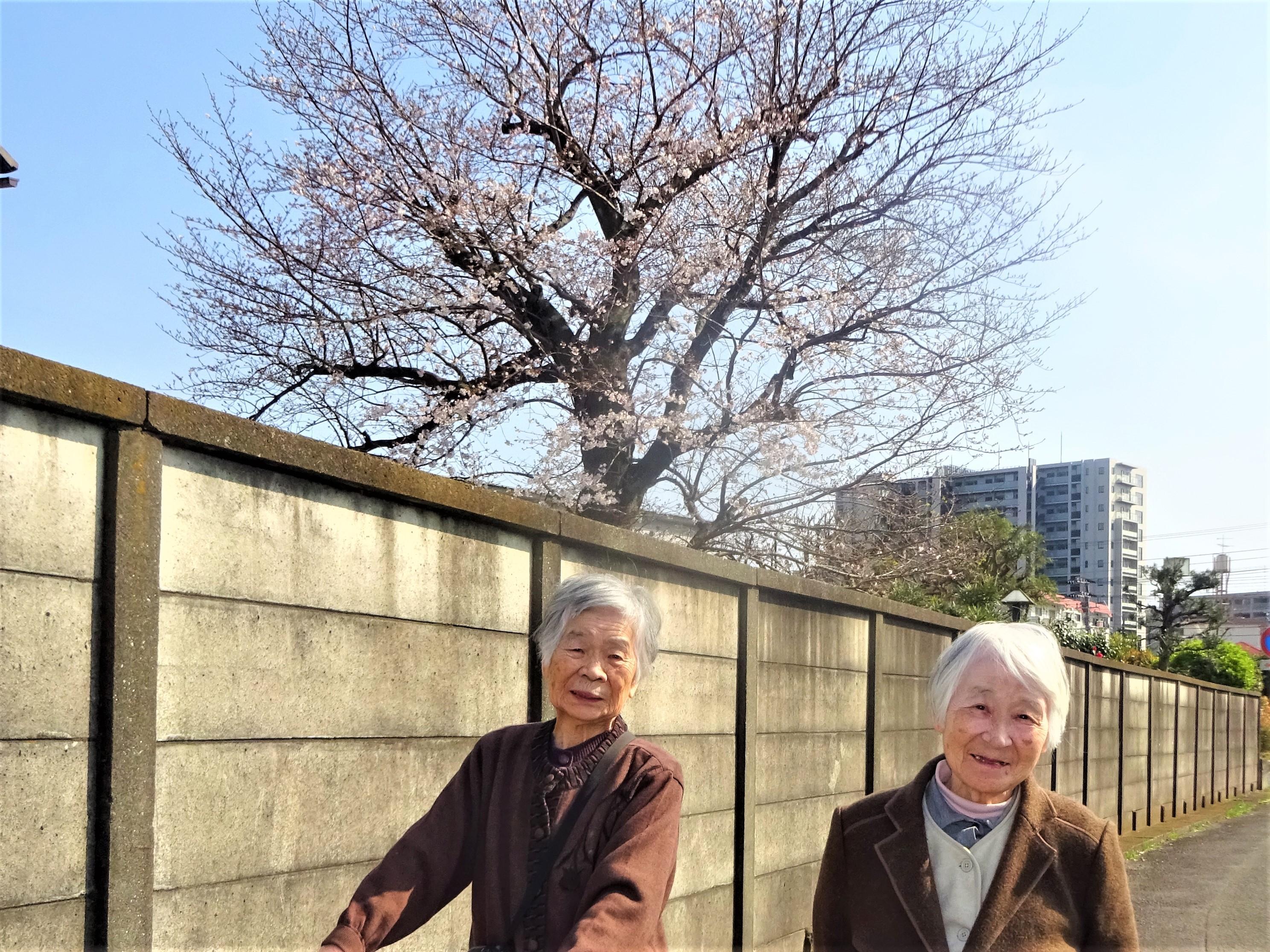 2DSC08158