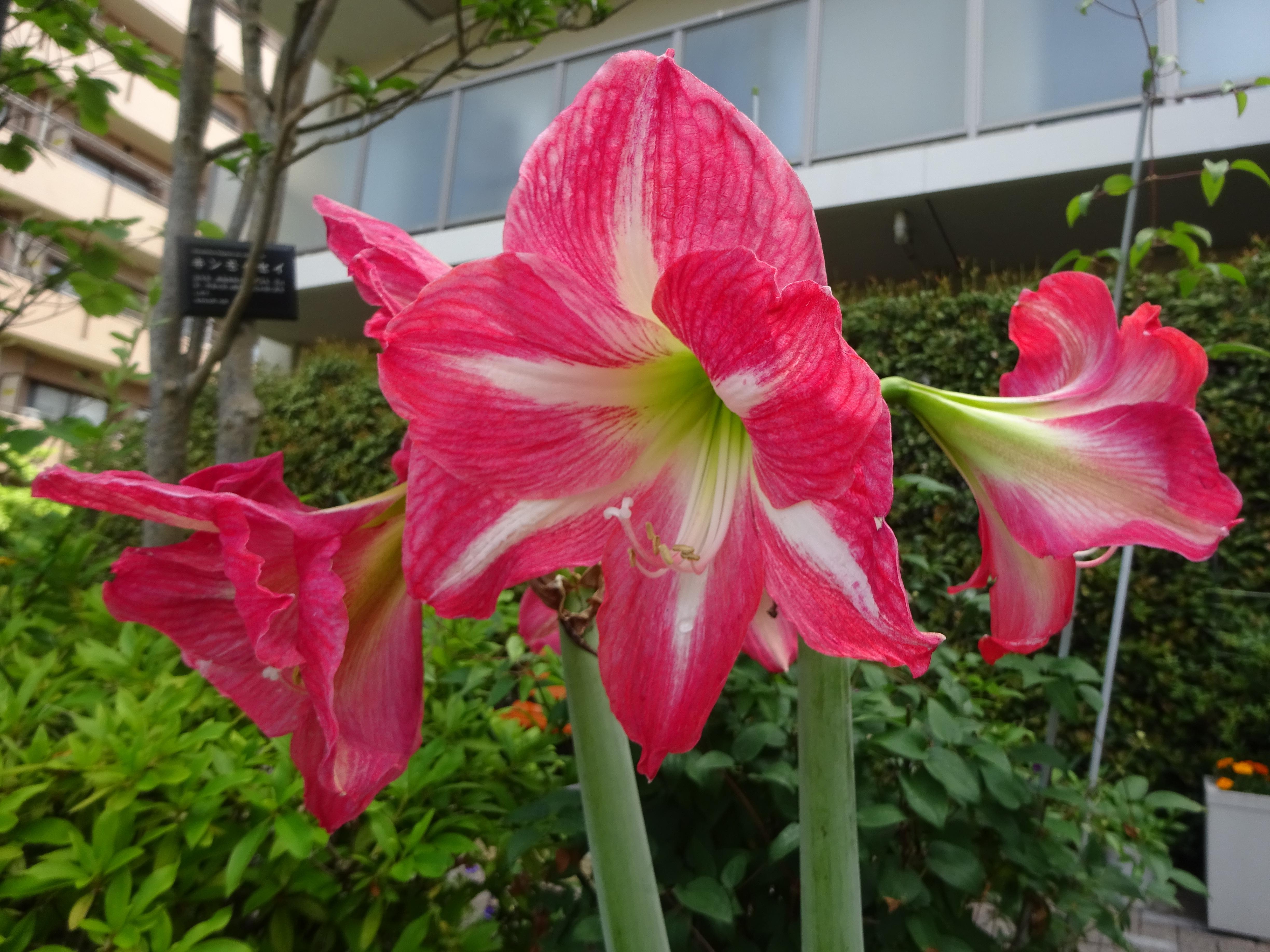 DSC06148.JPG