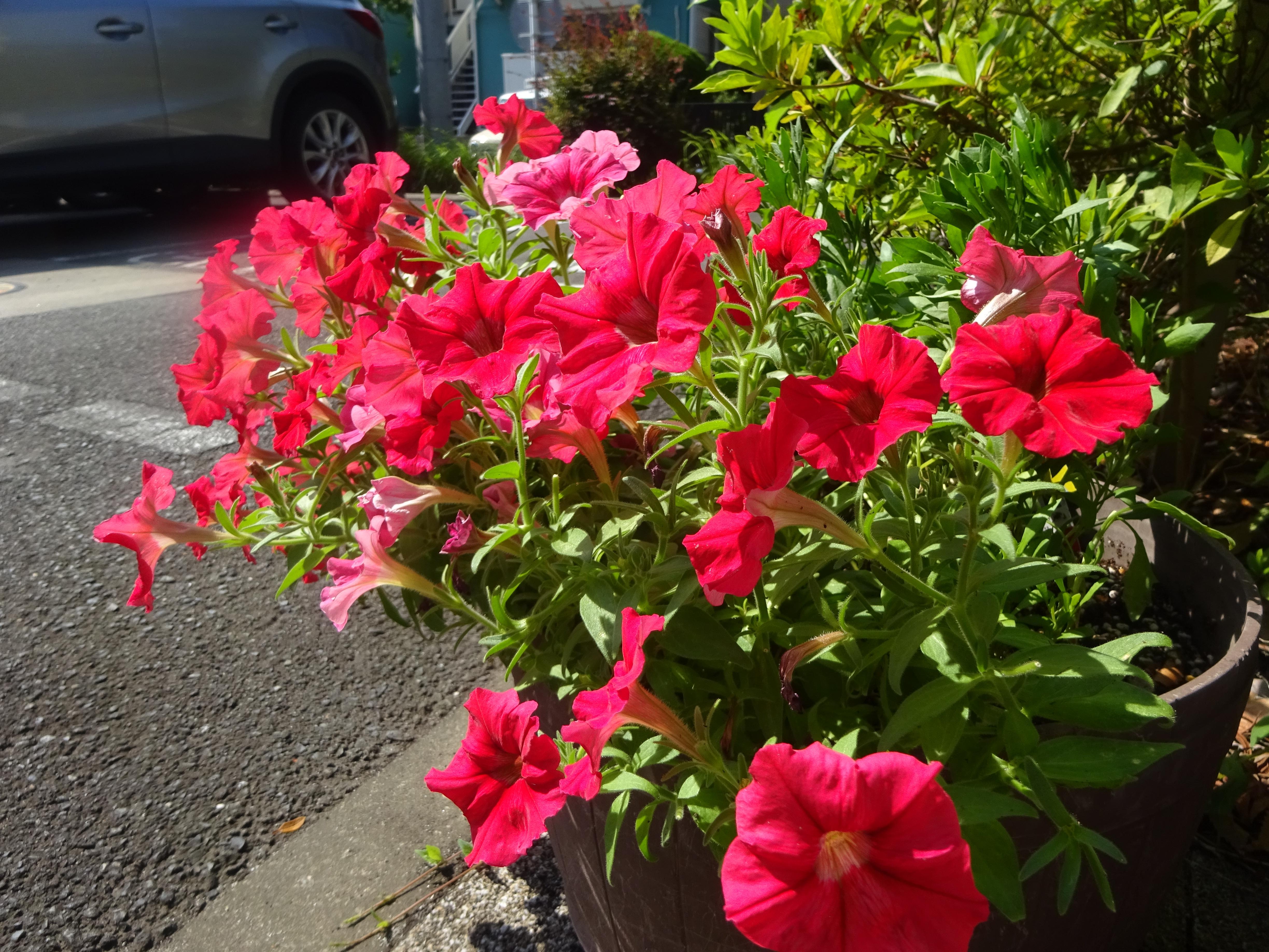 DSC06430.JPG