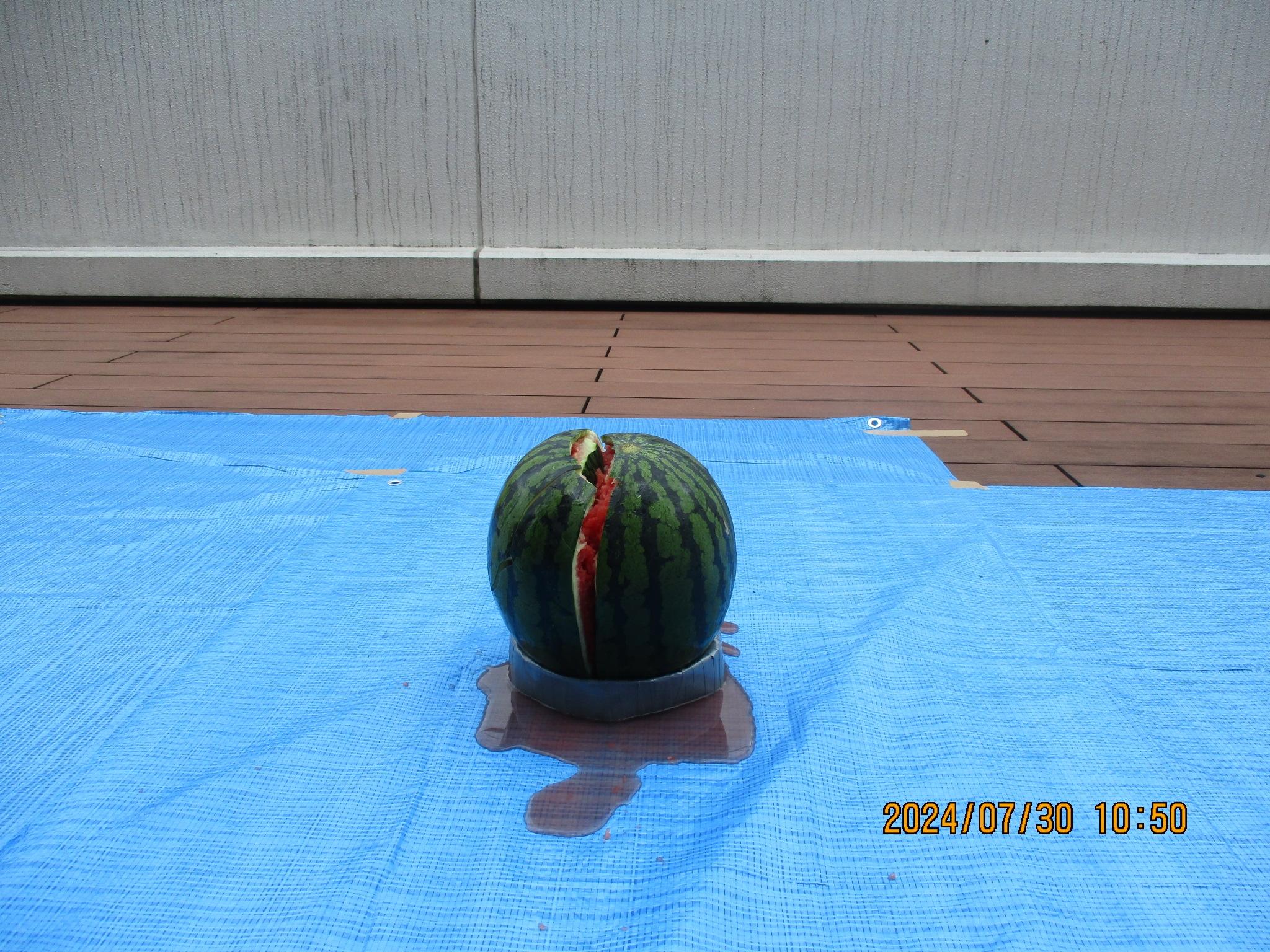 2igusa0816.JPG