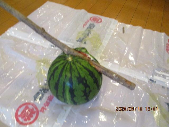 2kamimeguro