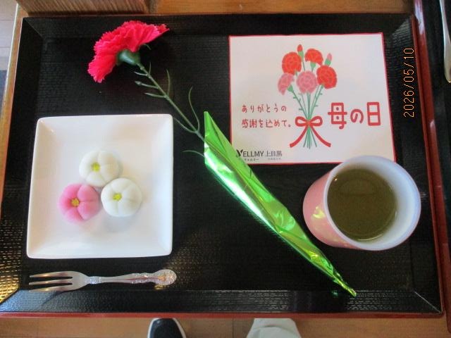 2026年　華やかな母の日　