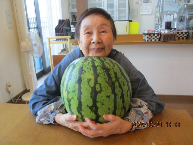 ～夏の思い出～　スイカとひまわり