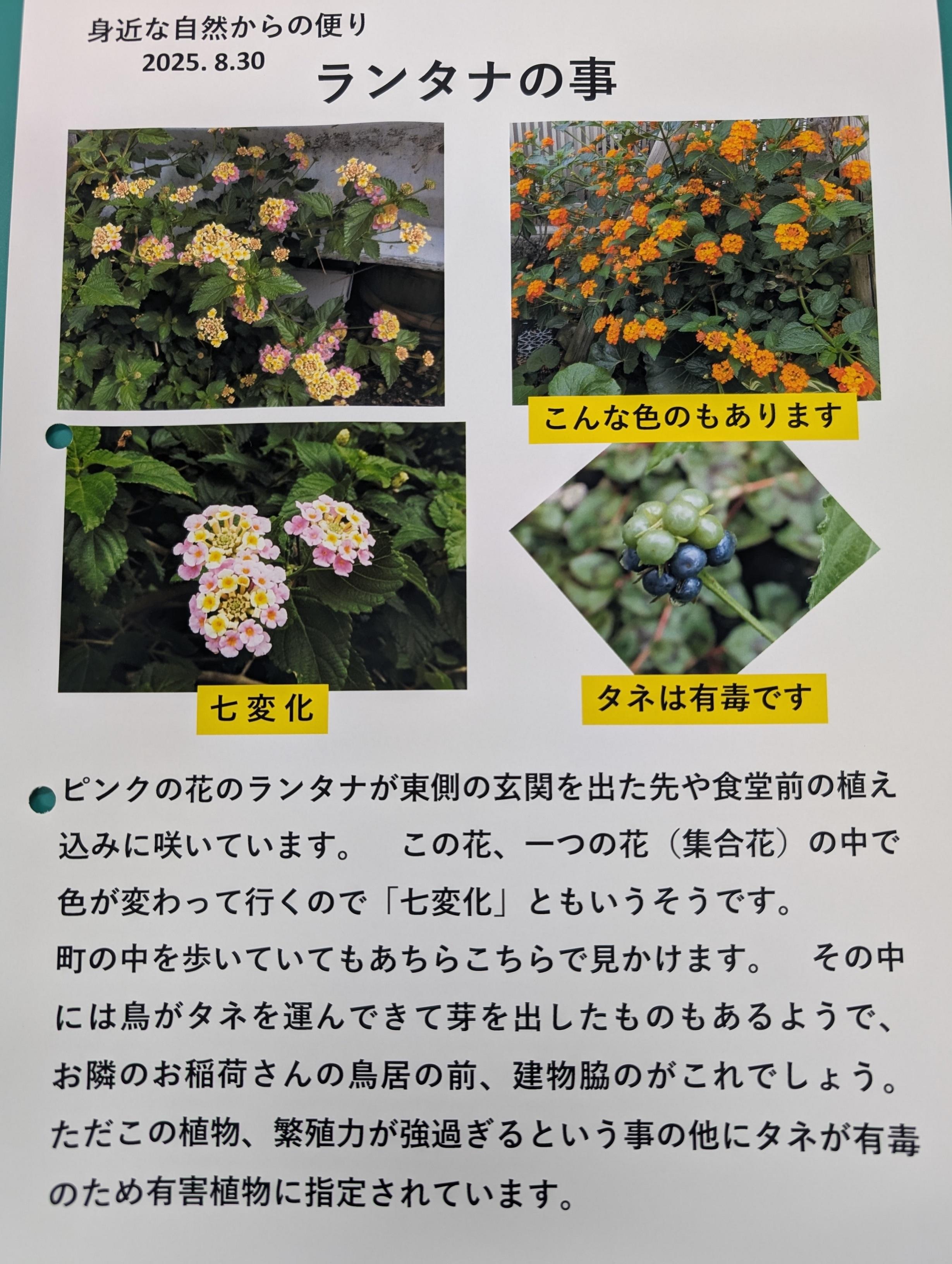 kawaguchi0915-2