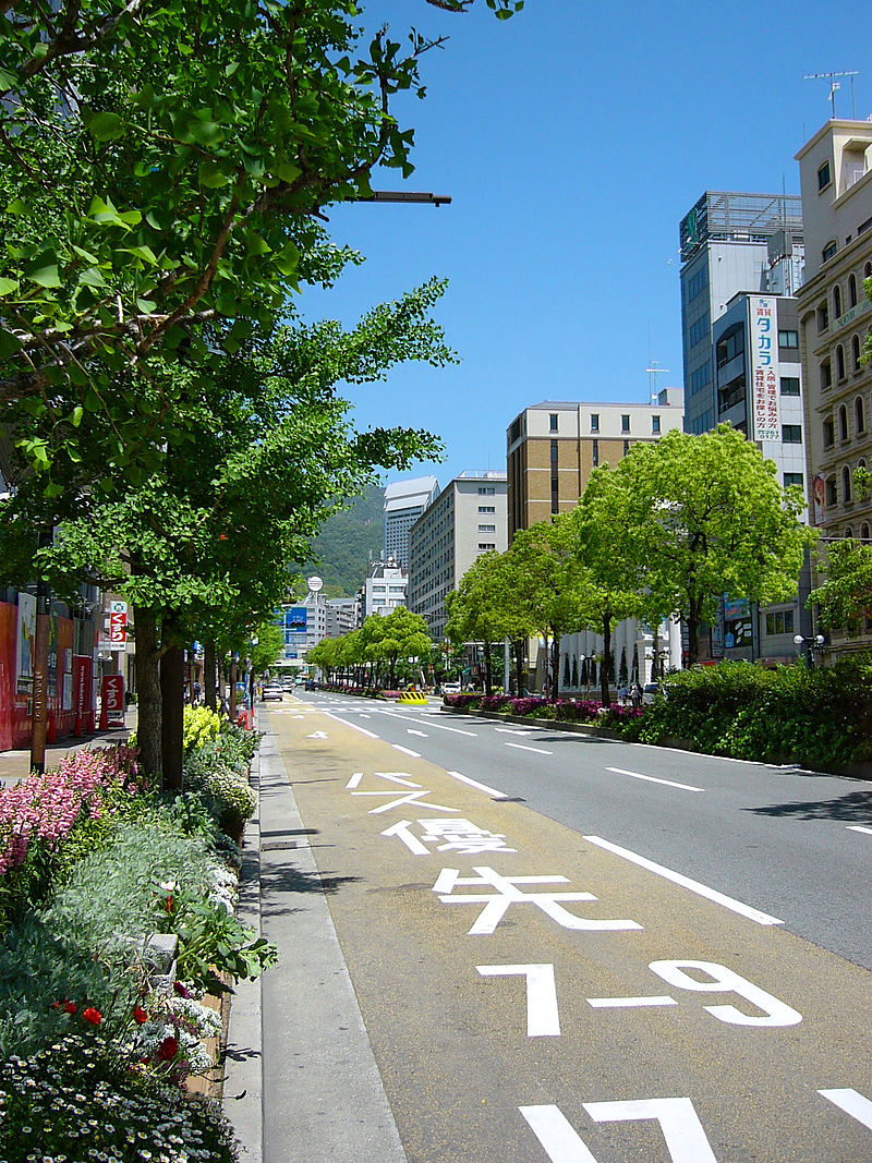800px-Flower_road02s1920