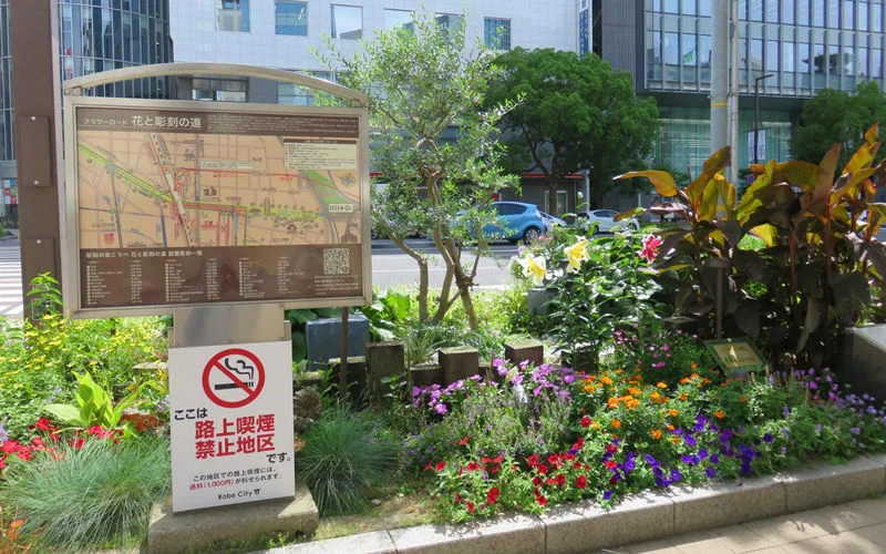 flowerroad10