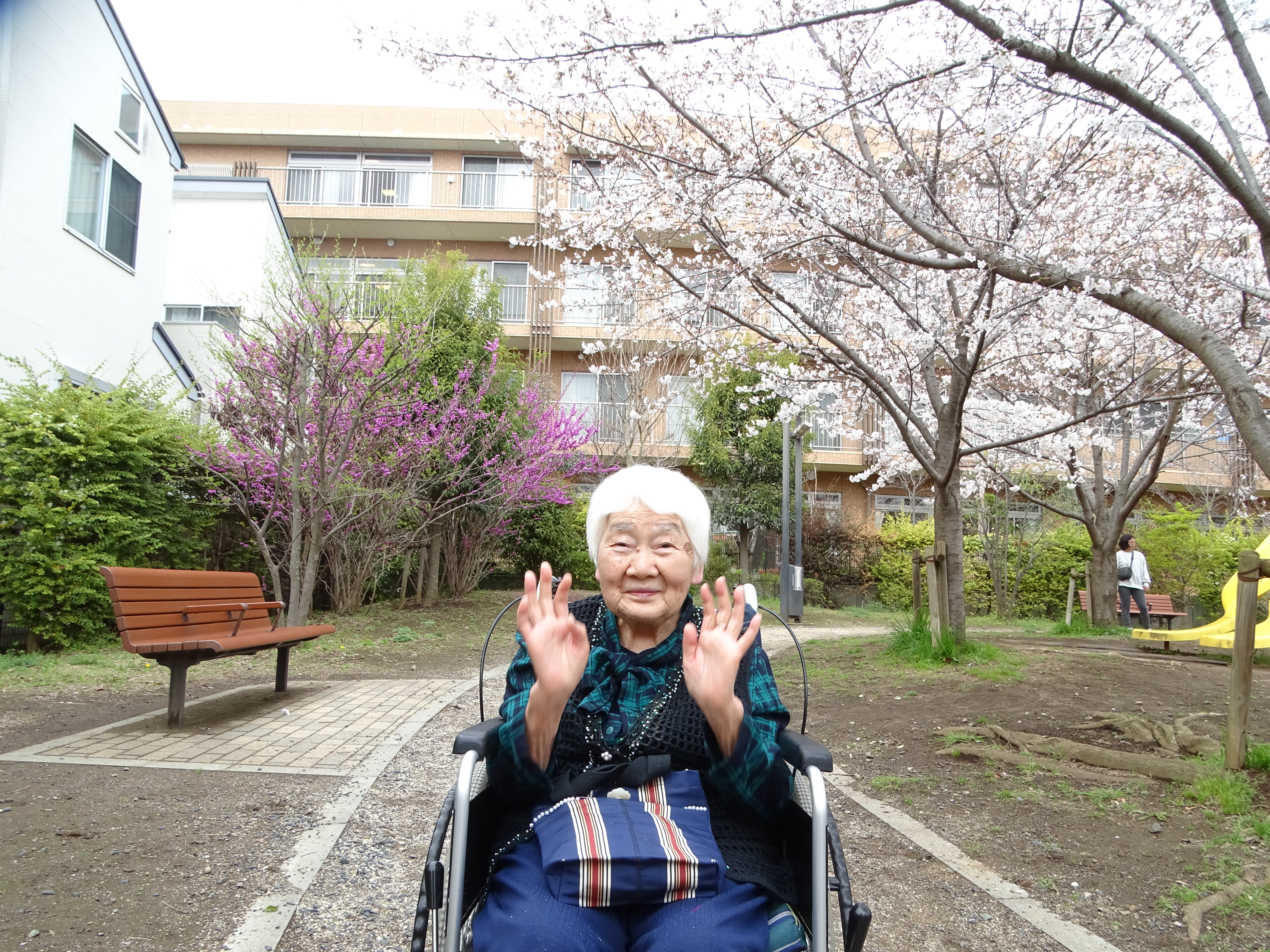 お花見散歩🌸