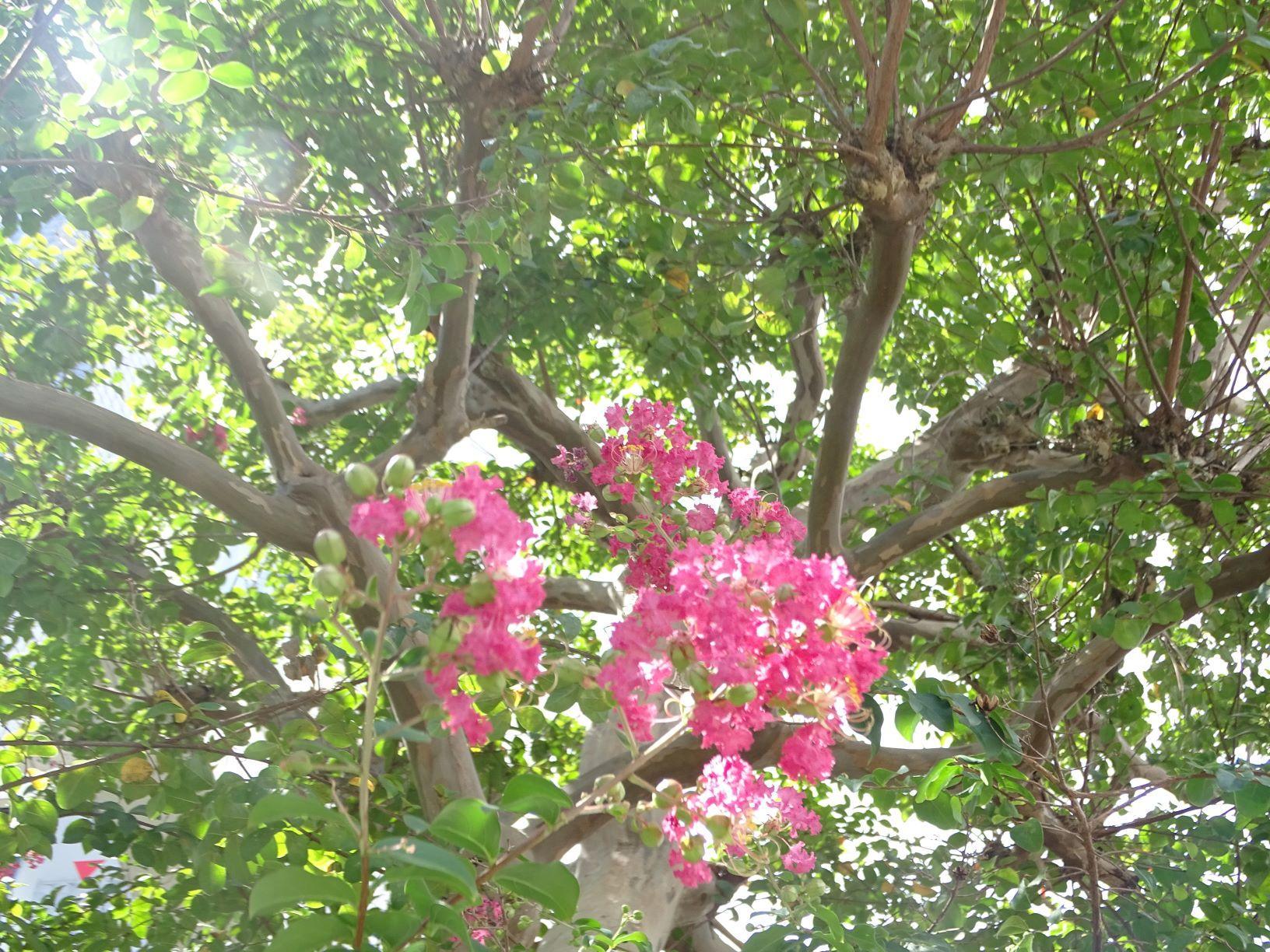 3kitaurawa0828