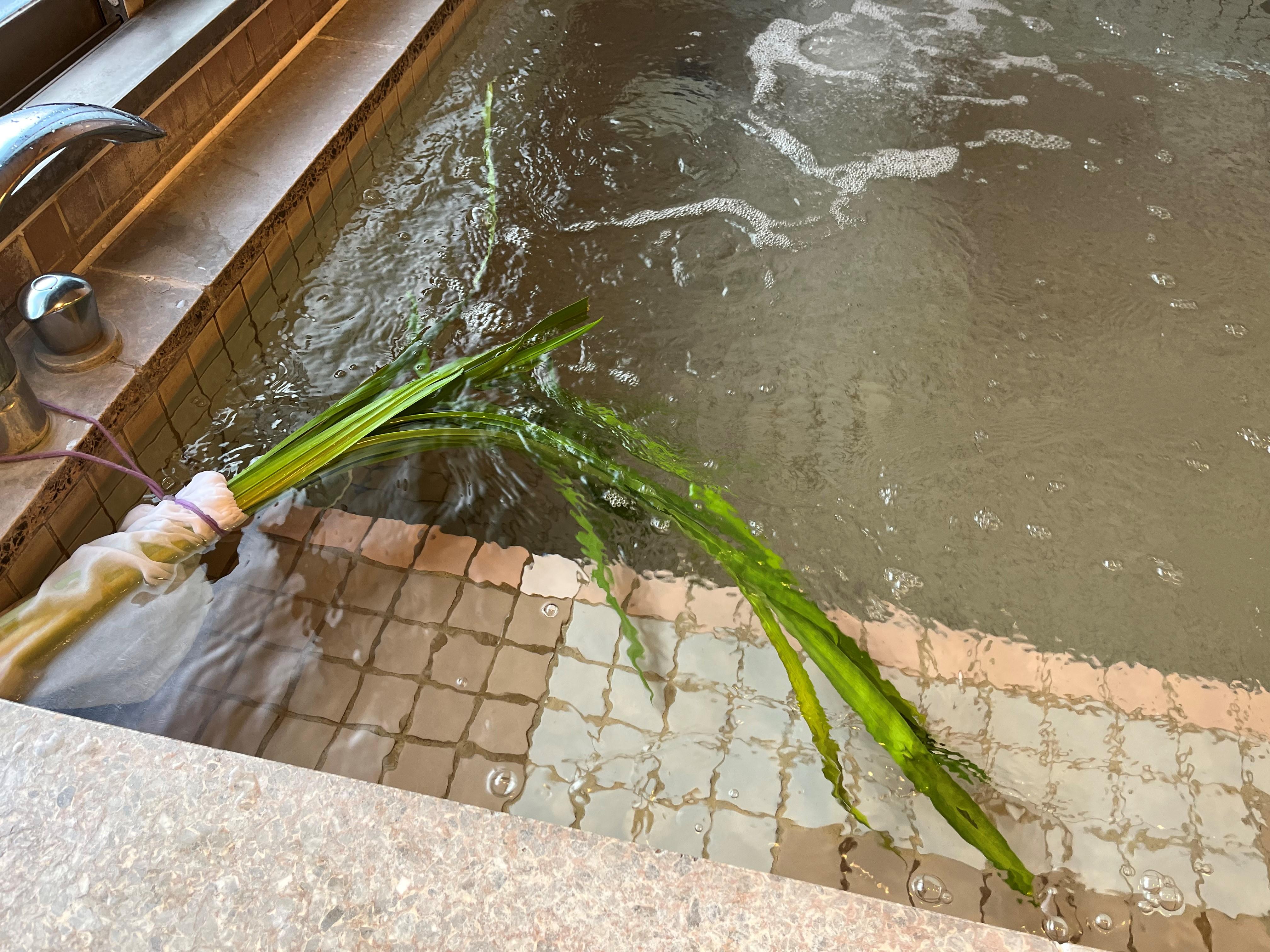 5月5日といえば・・・・？