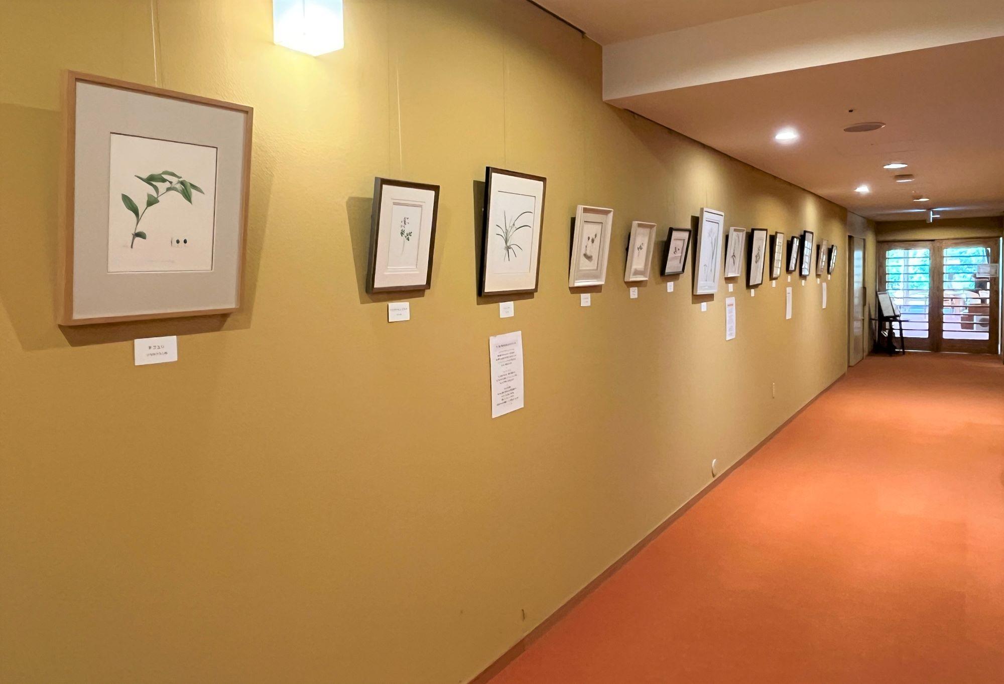 ボタニカルアート“里山にて”展 ― 港北２ギャラリー