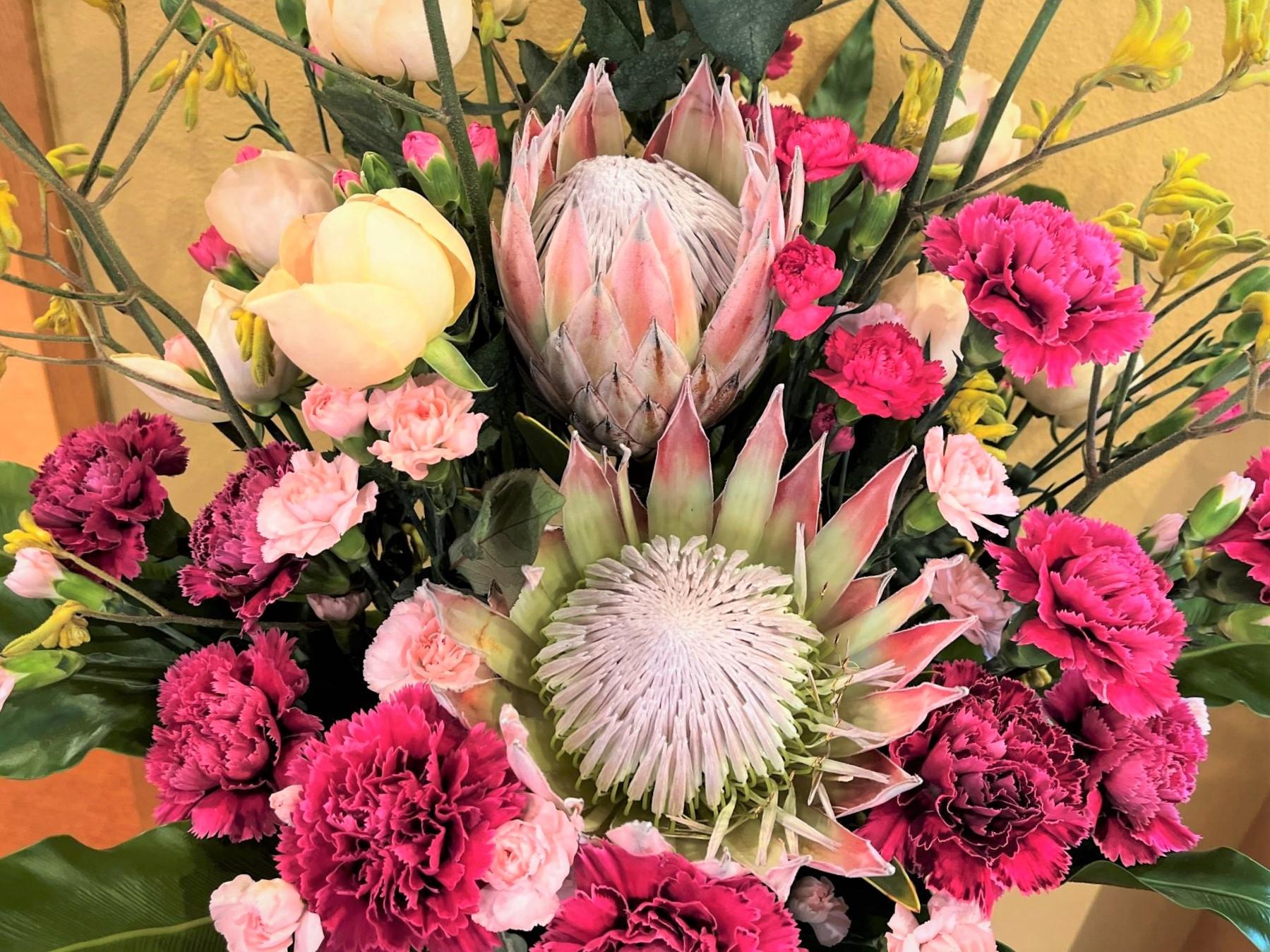 251104kouhoku2 (1).JPG