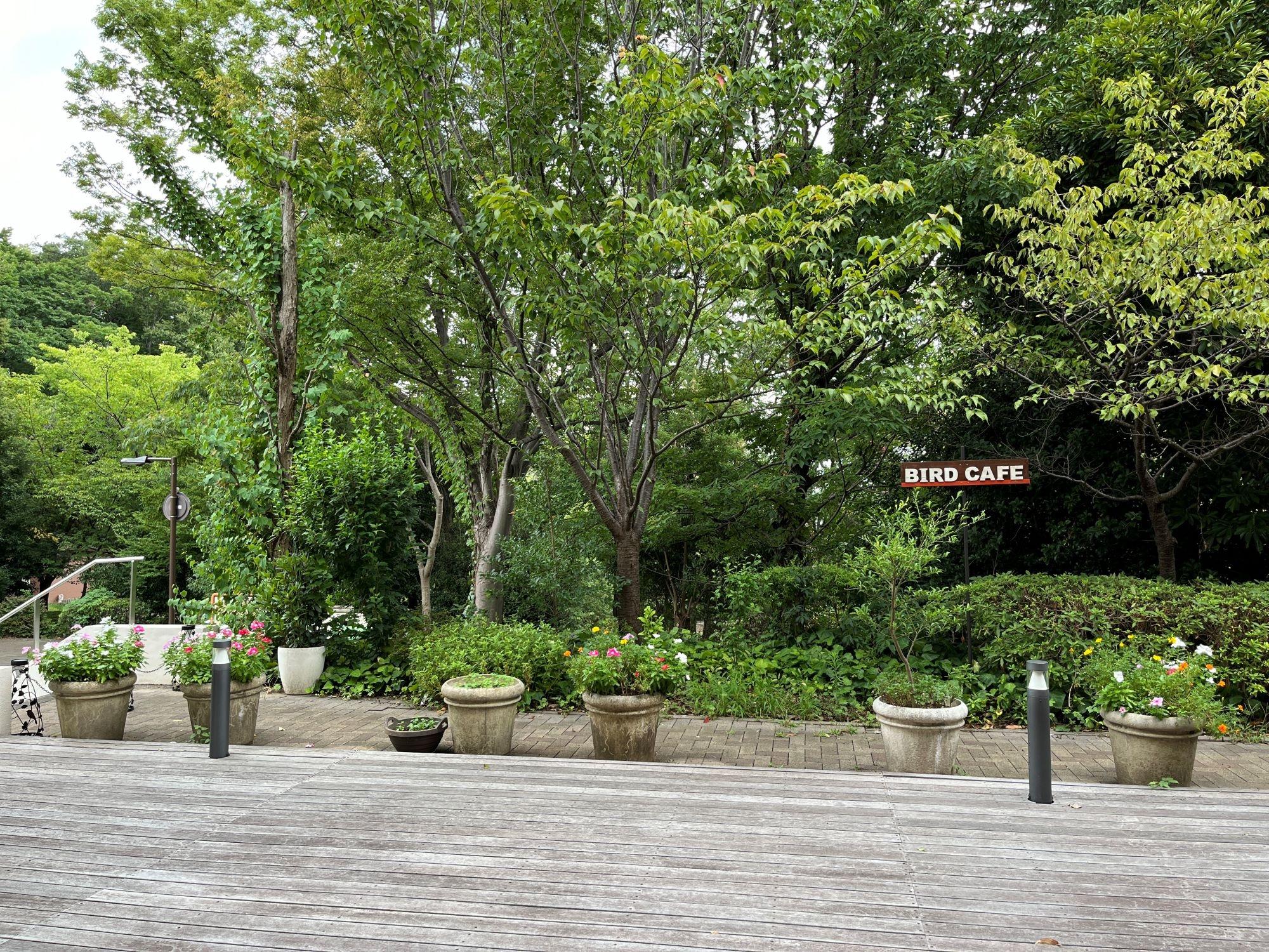 0812kouhoku2 (2).JPG
