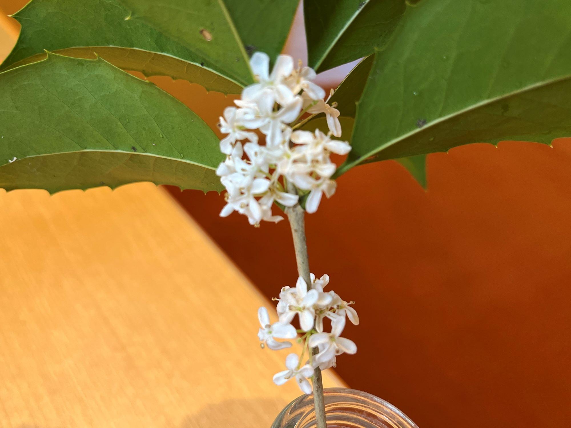 251101kouhoku2 (4).JPG