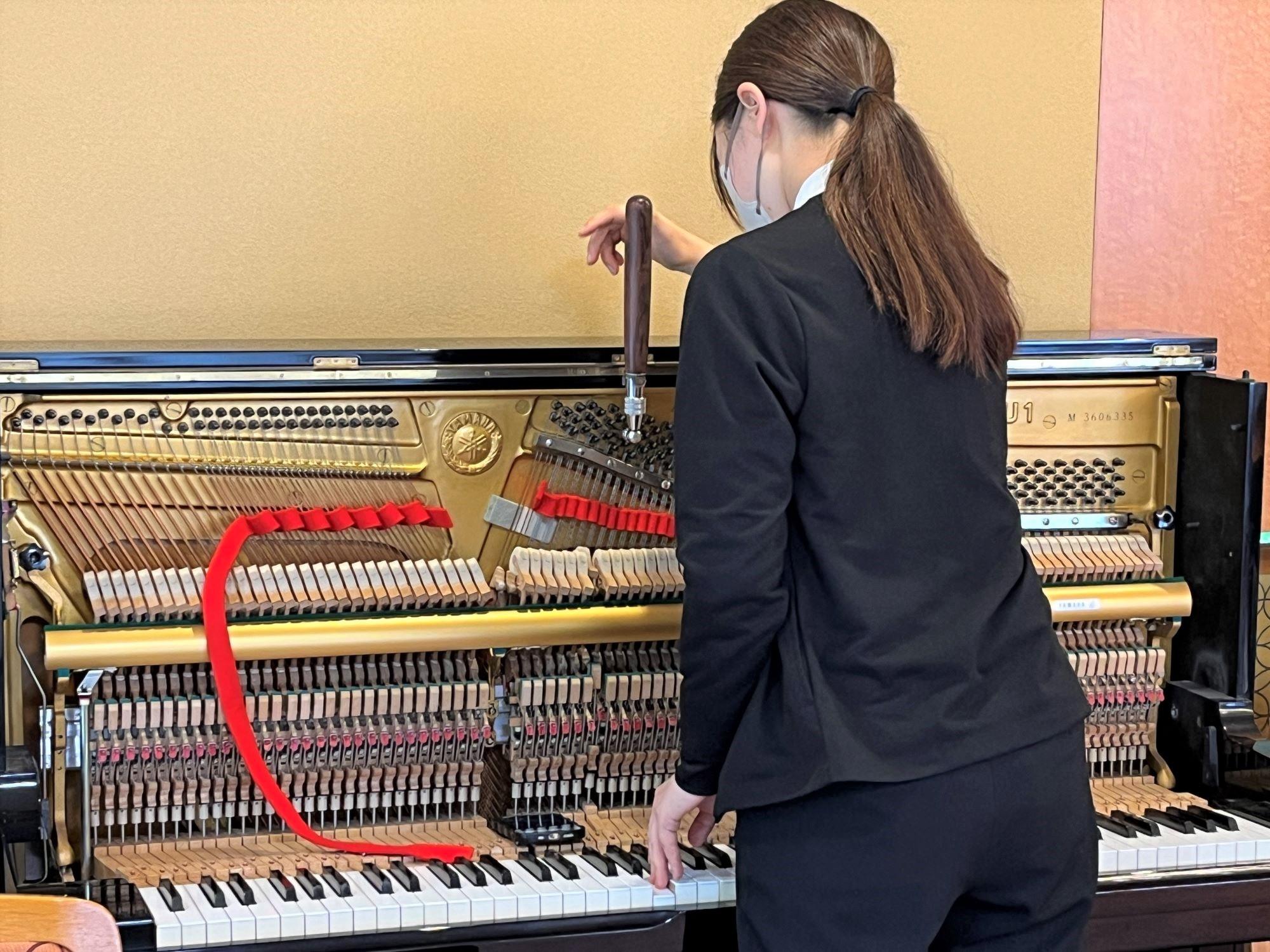 2511kouhoku2 (1).JPG