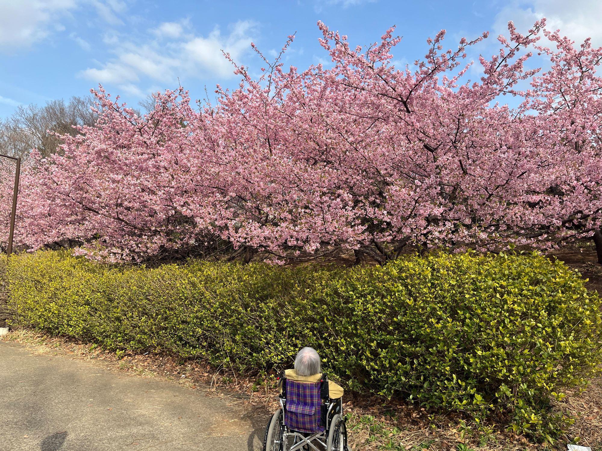 2602koushoku2.kawazu(3)