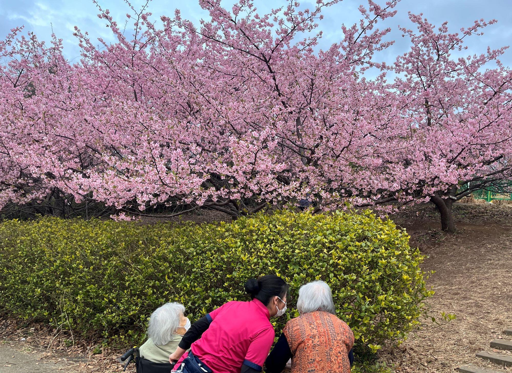 2602koushoku2.kawazu(4)