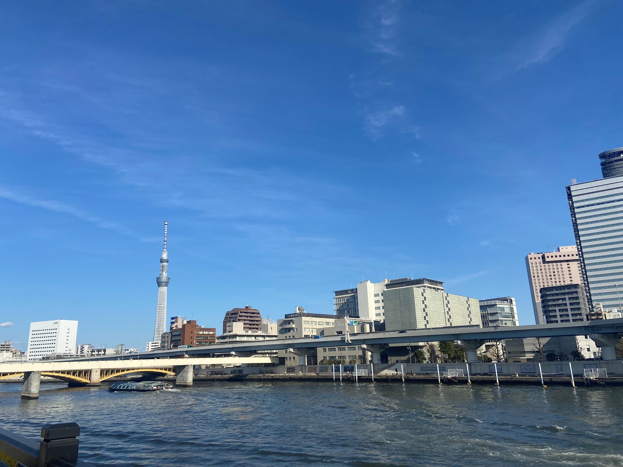 ブランシエール蔵前での暮らし紹介　～ 景色を愉しむ暮らし ～