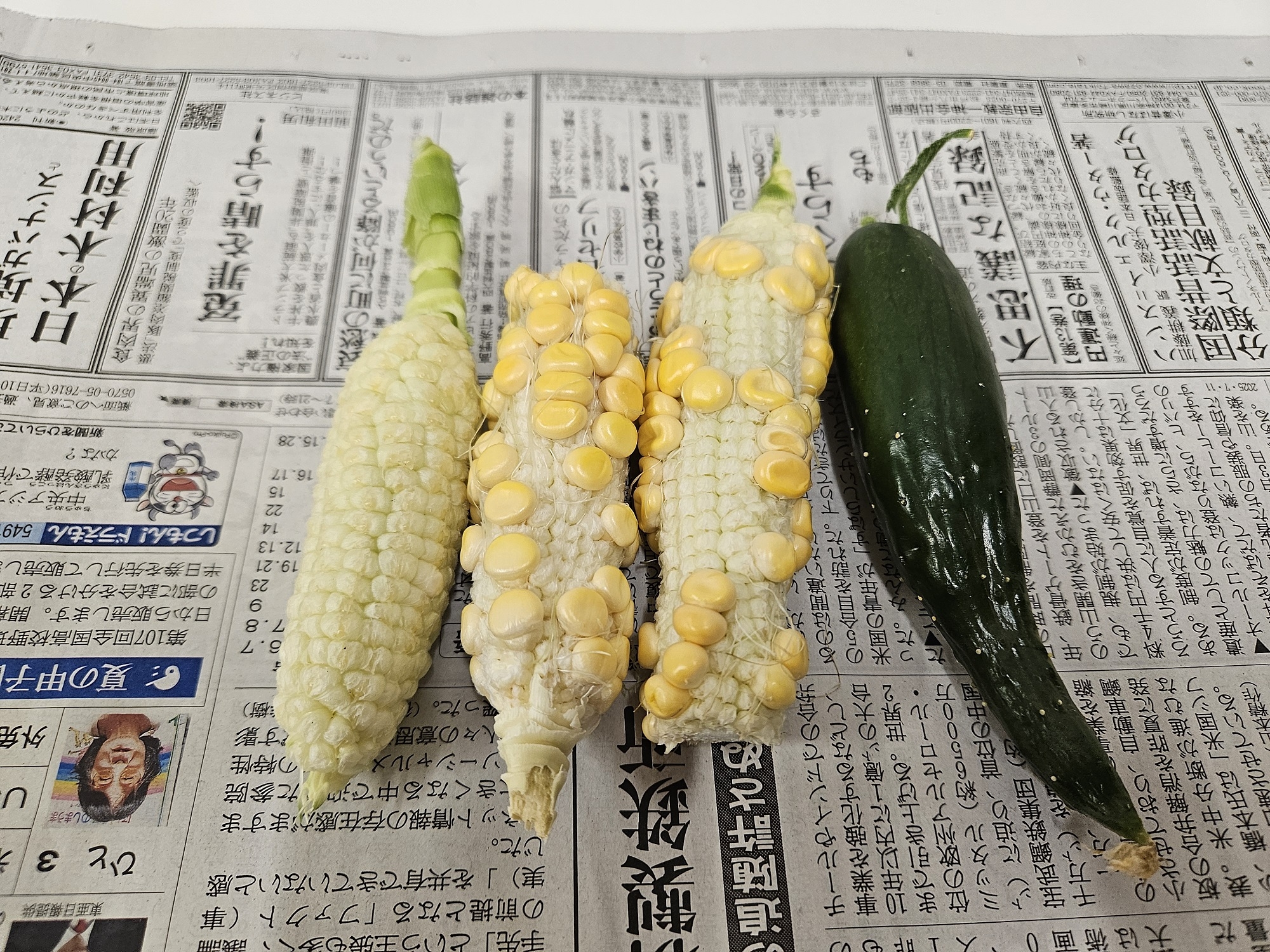 N様の屋上菜園が大変なことに！