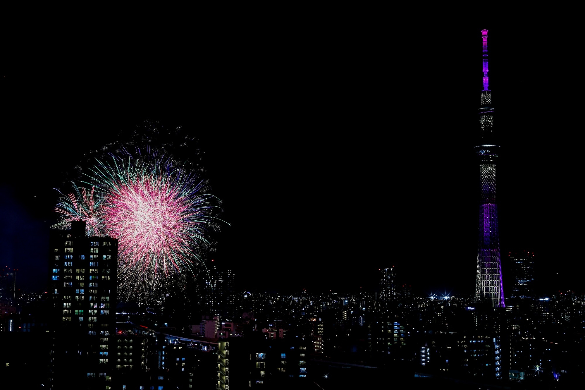 2025sumidagawahanabi_ (3).JPG