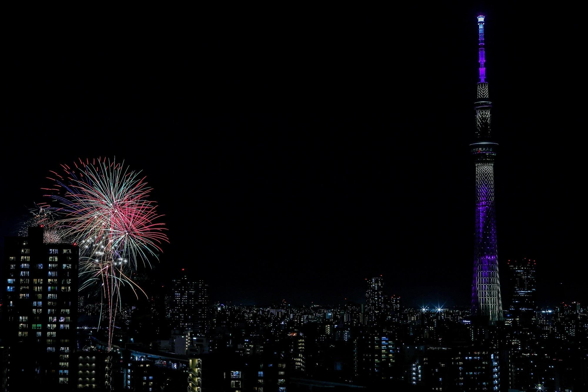 2025sumidagawahanabi_ (1).JPG