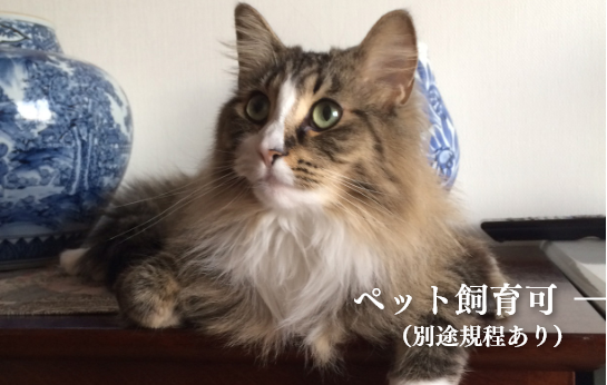 ペット飼育可