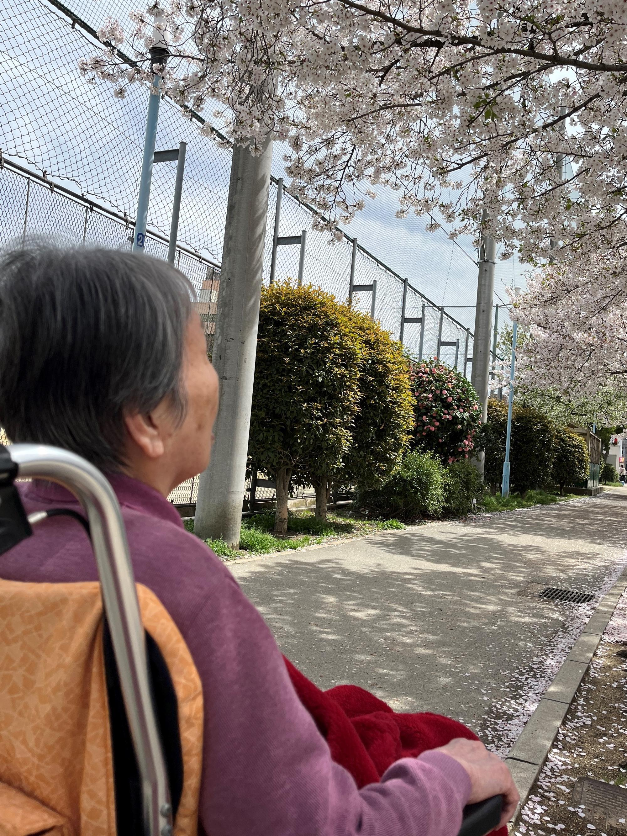 1-2midoribashi260411