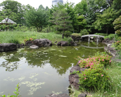 藤田庭園散策　第二弾