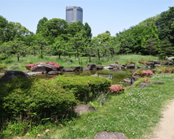 藤田庭園散策　第二弾