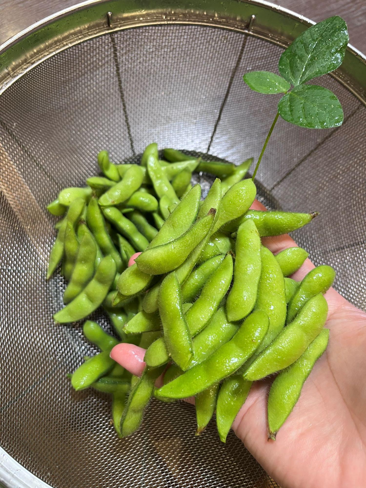 edamame