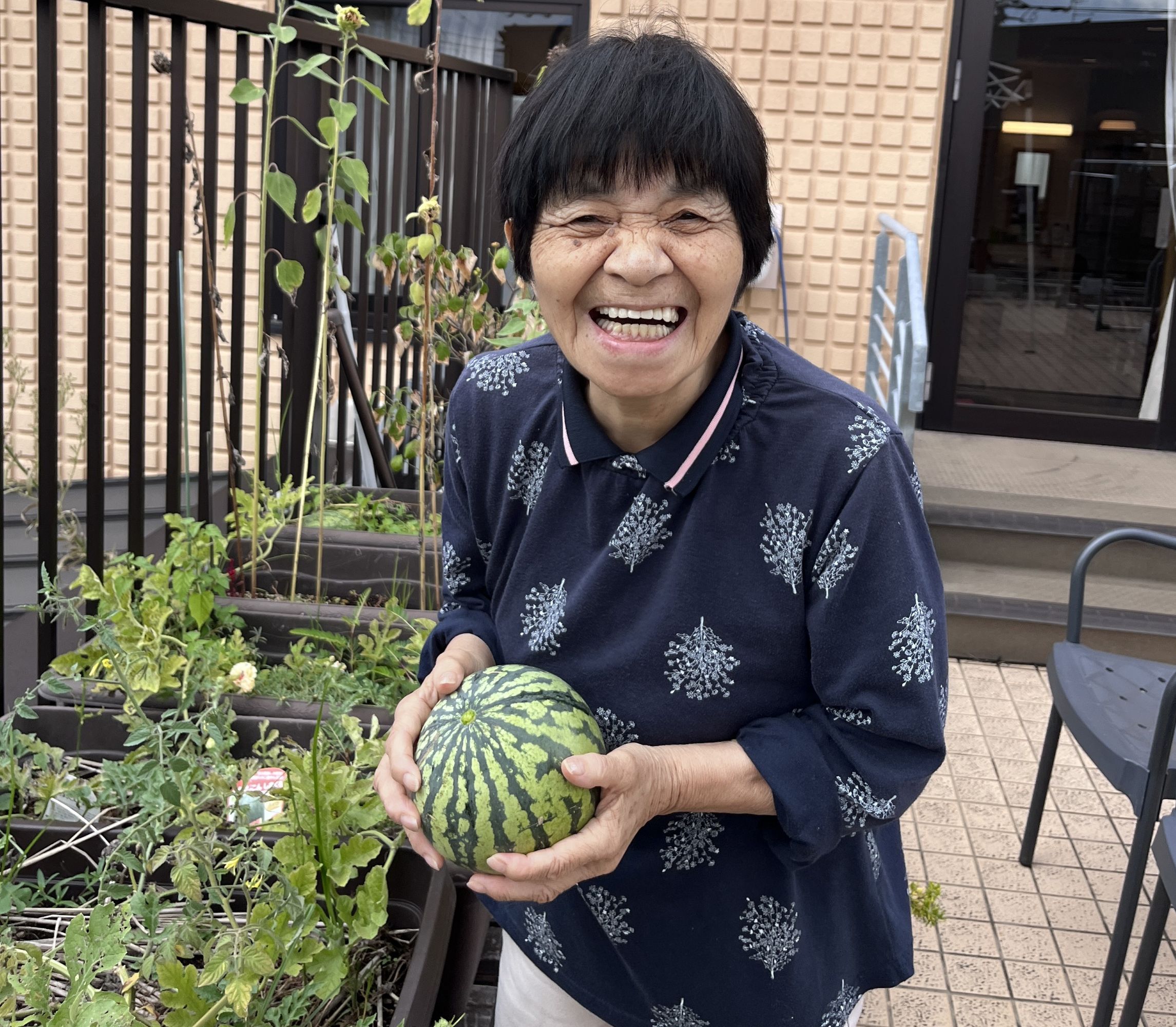 ベトナム実習生日記⑦ついにスイカを収穫しました!