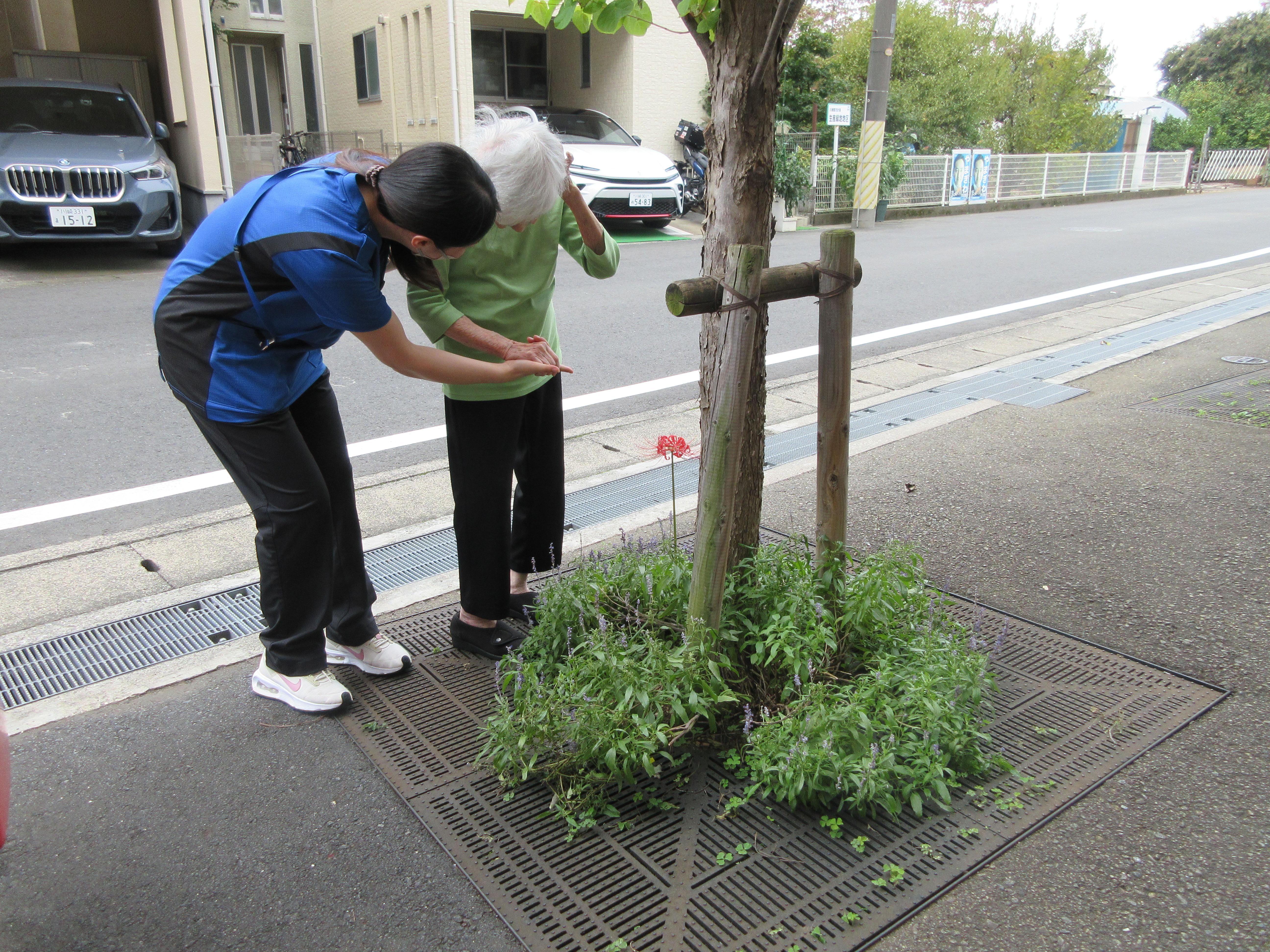 束の間の晴れ間に。