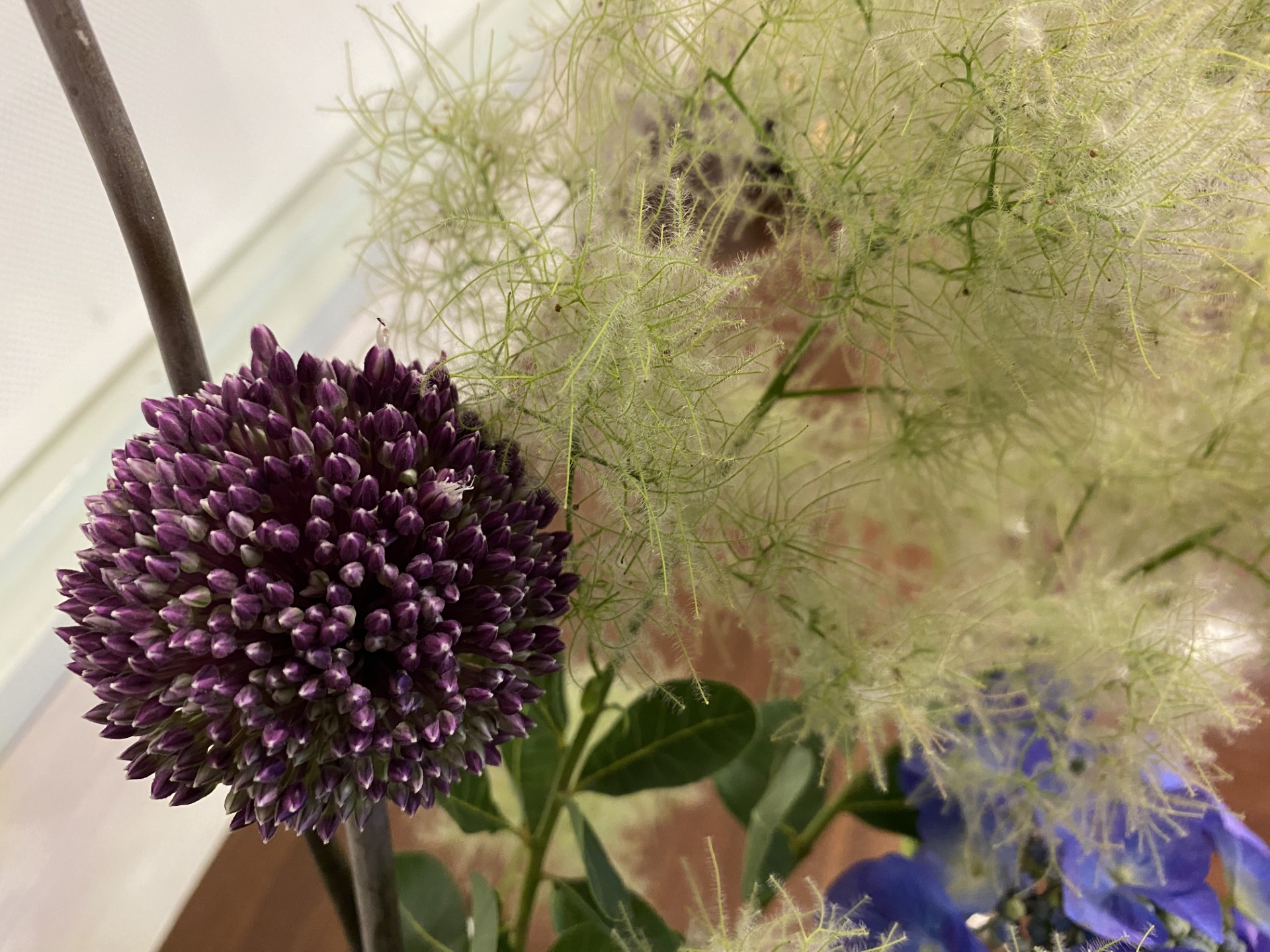 ６月のお花