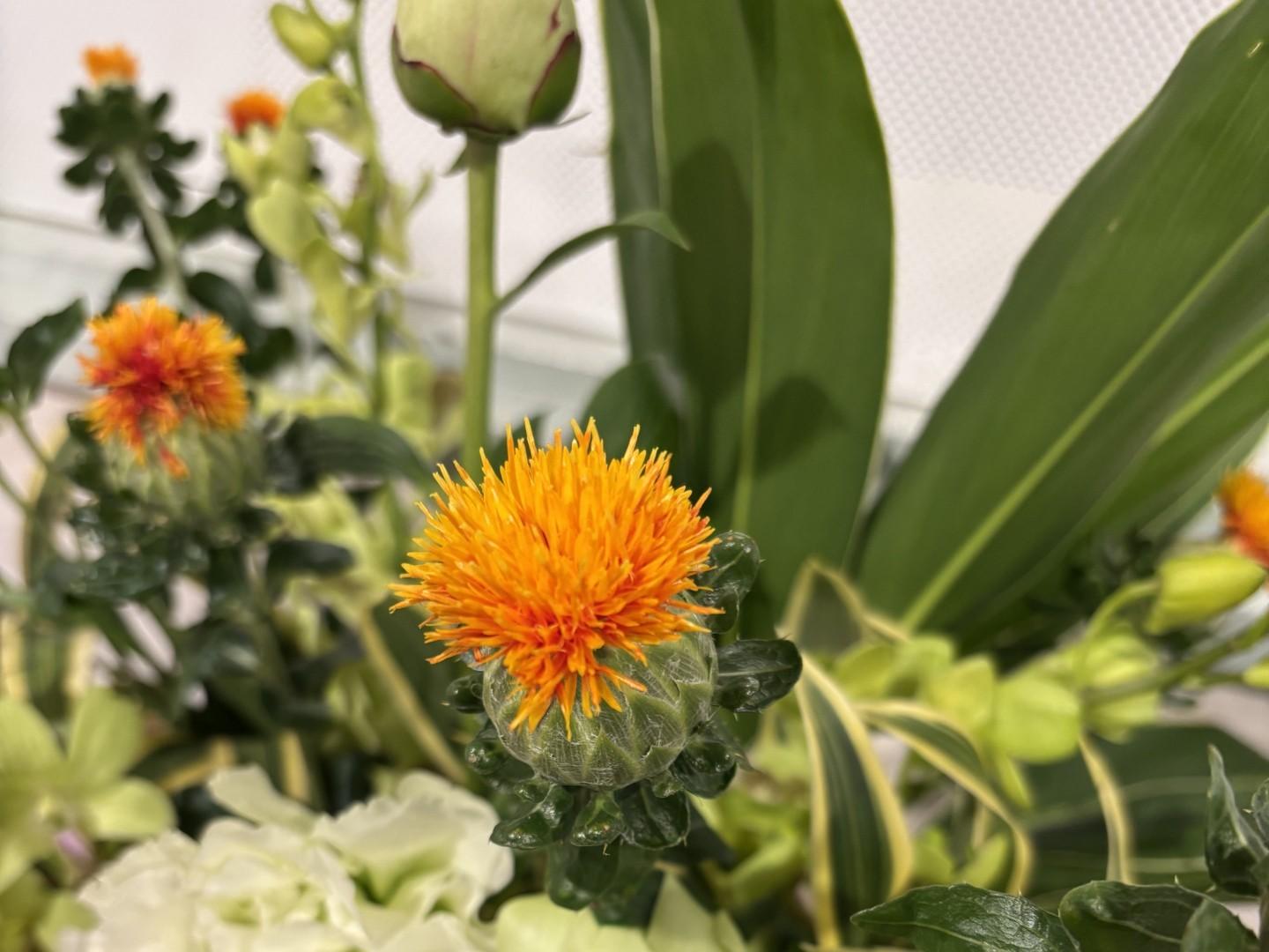 4月のお花