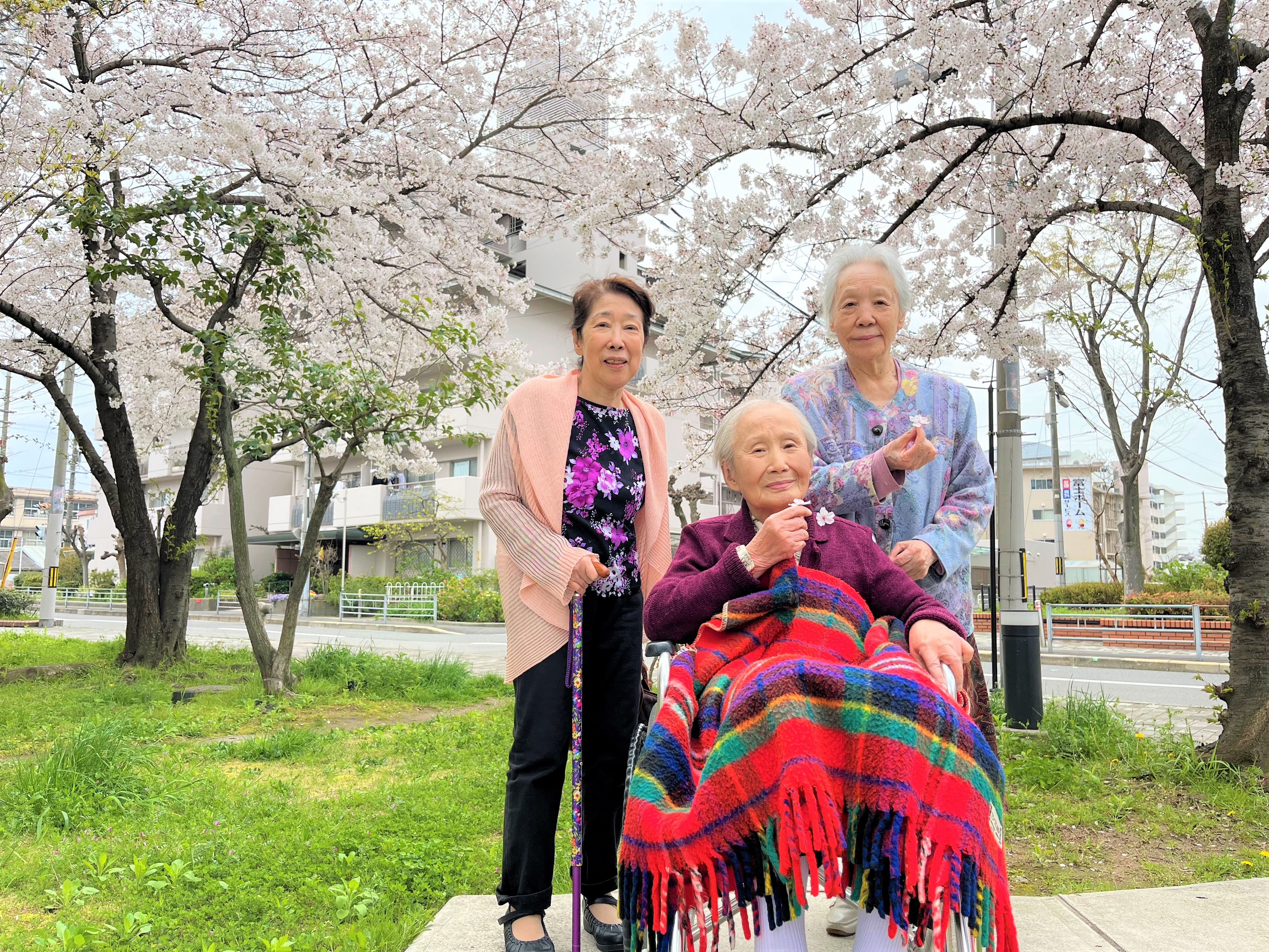 春＊桜満開のブランシエールケア長居公園