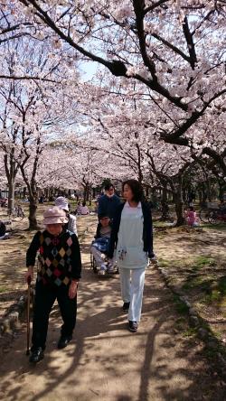 桜並木♪