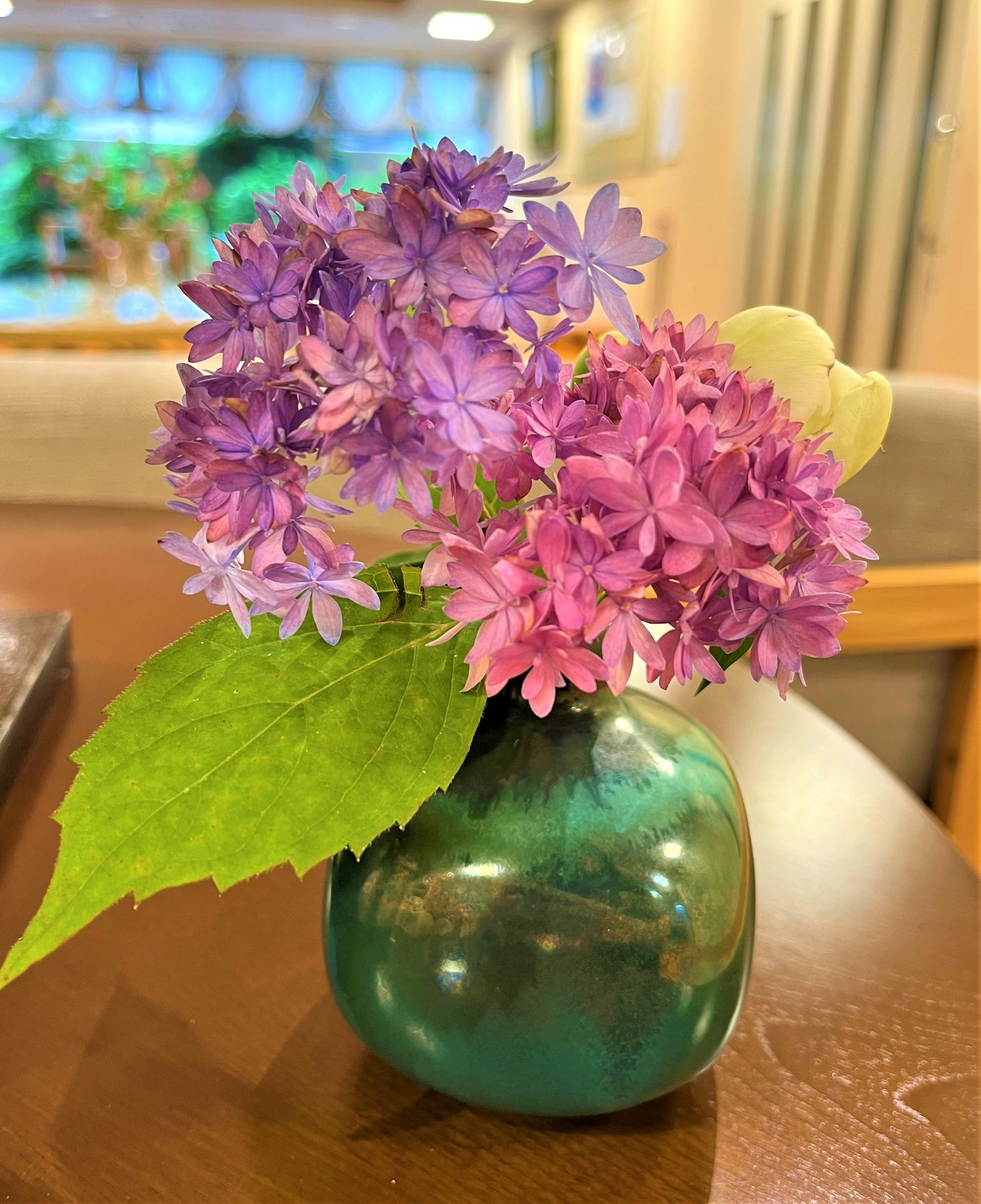 山紫花25067y.JPG
