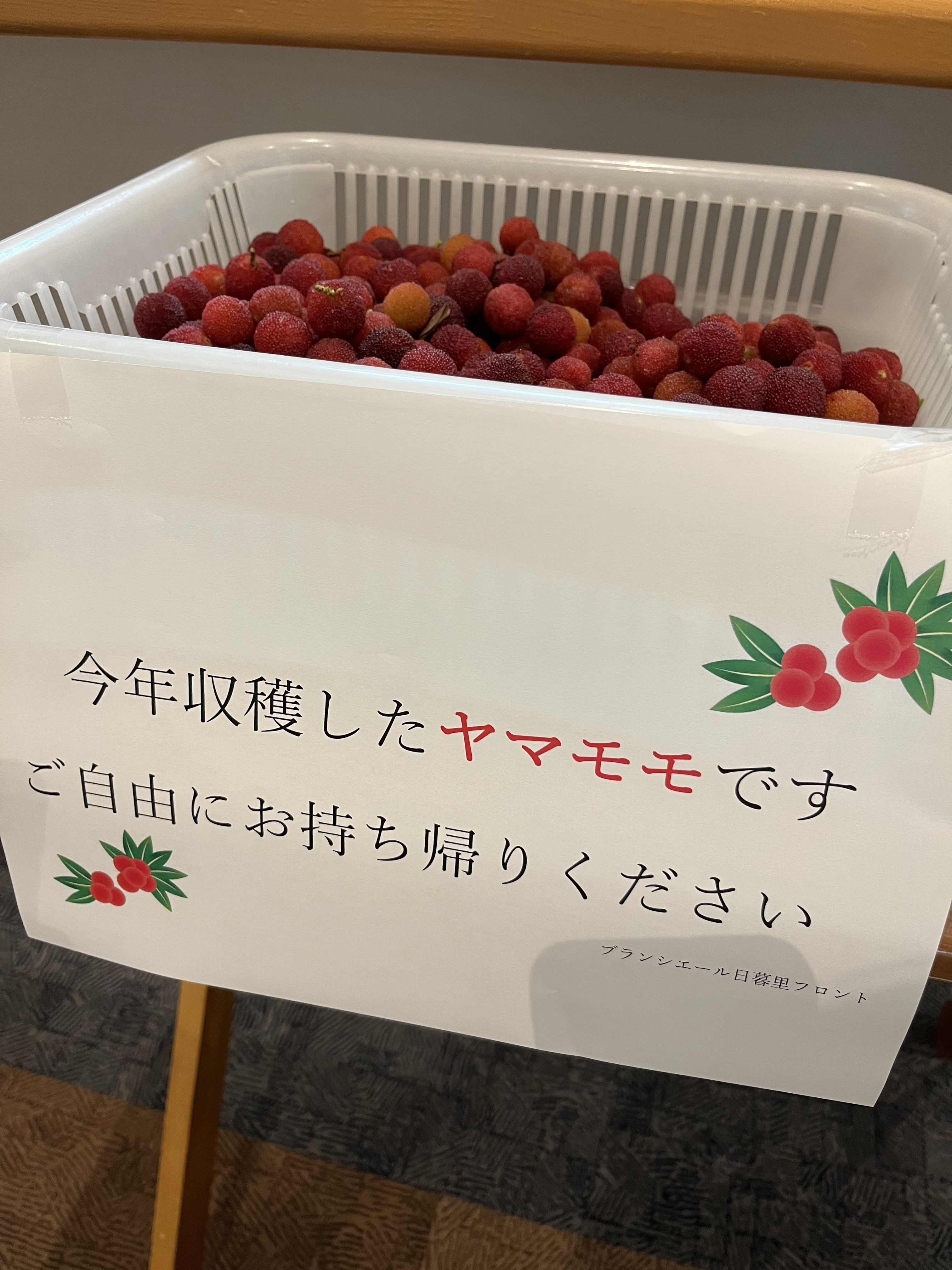 4nippori0619.JPG