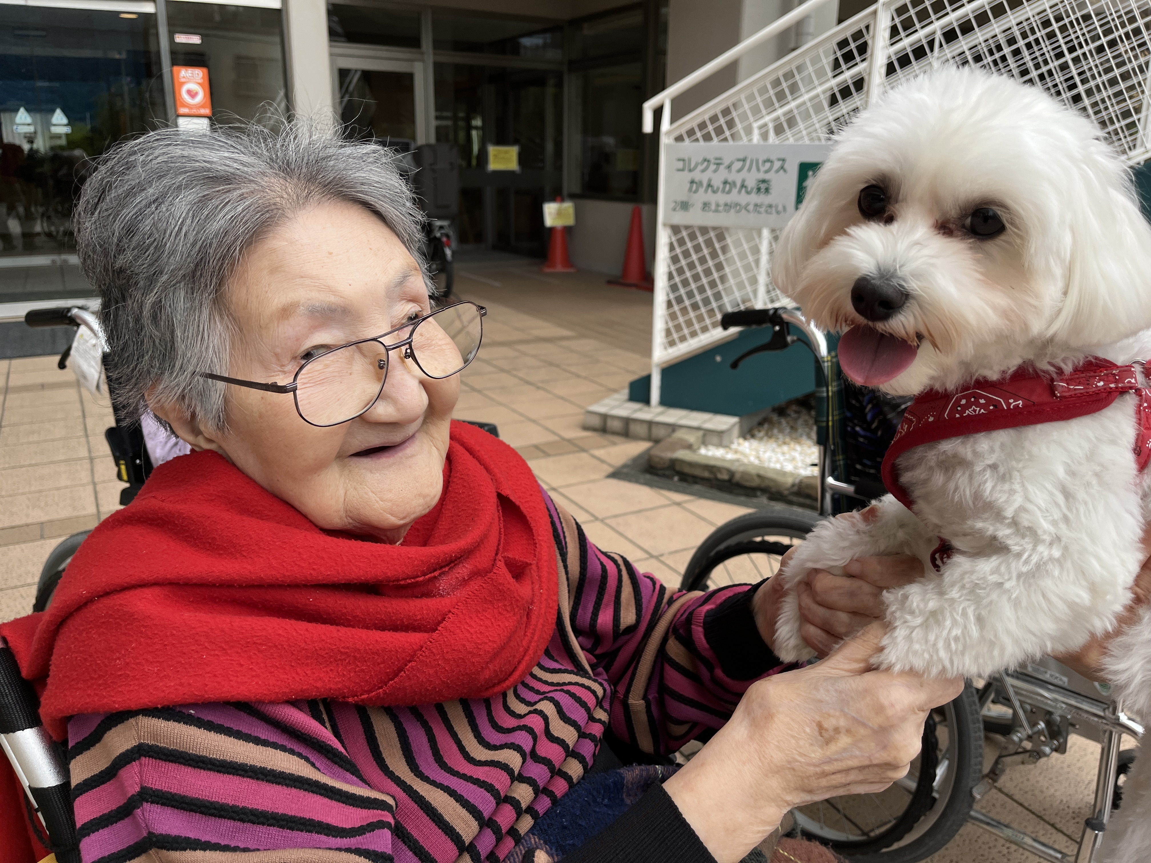 日暮里通信~癒しのふれあいタイムの巻~