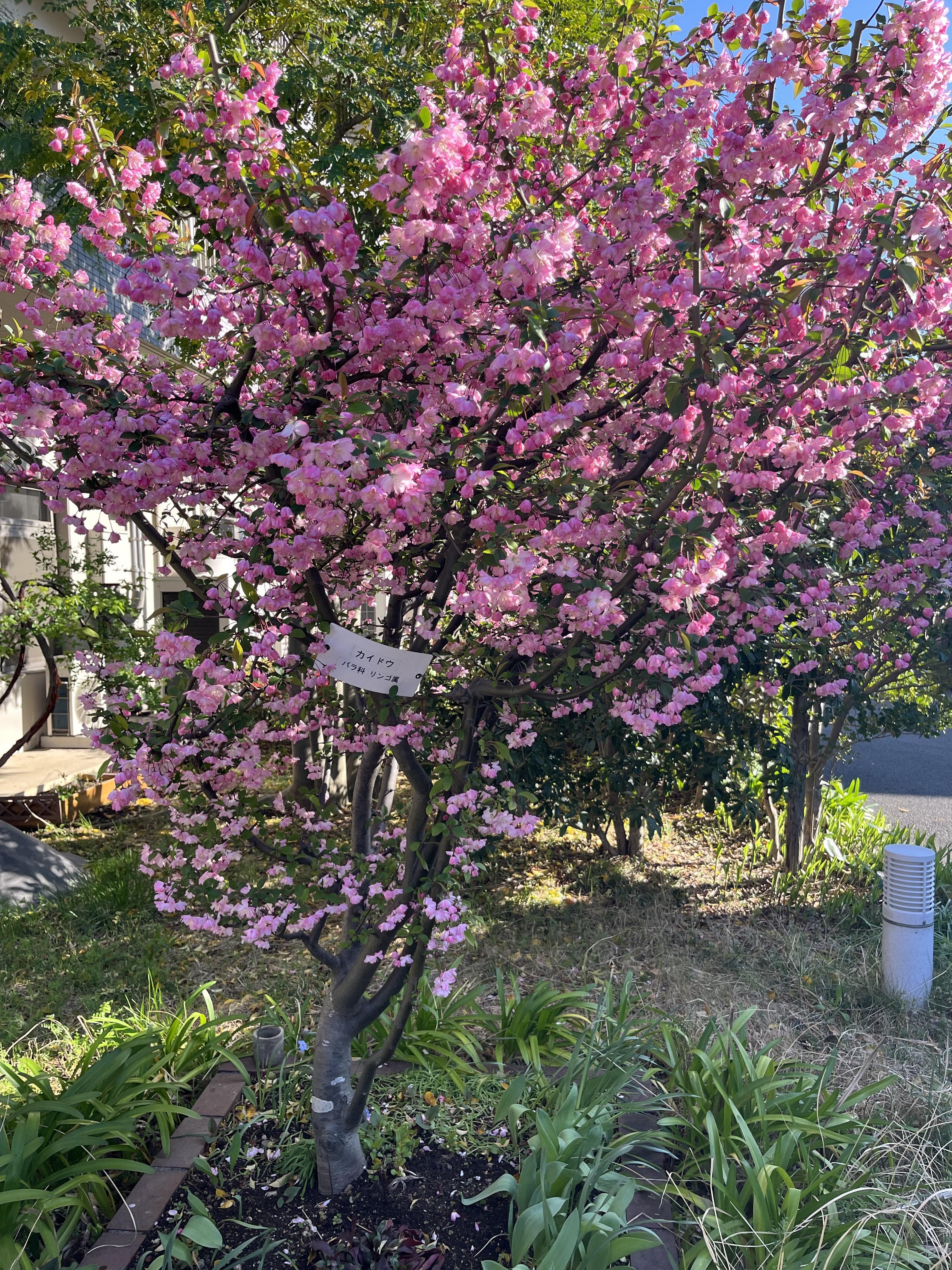 1nippori0401