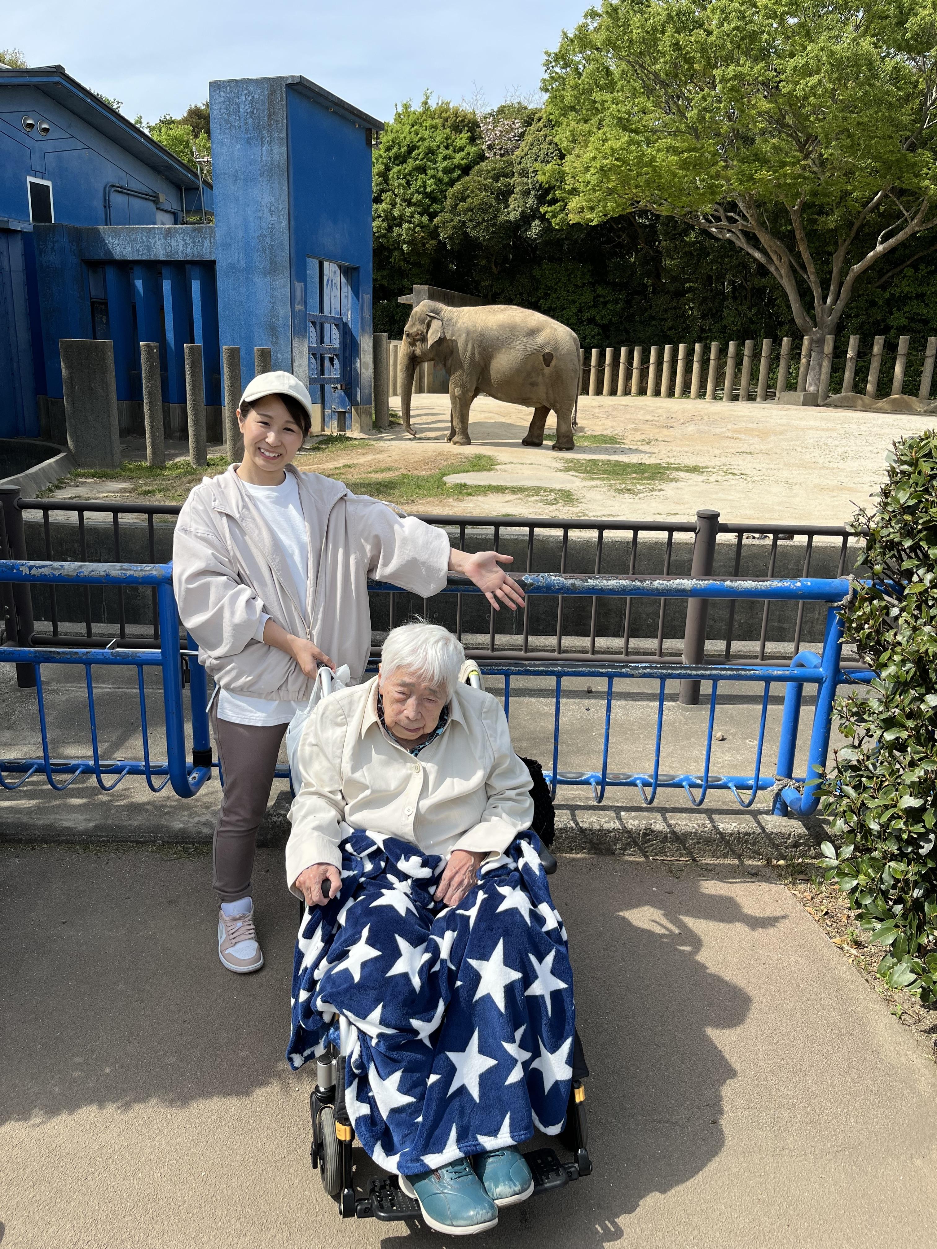 動物公園 像と一緒に