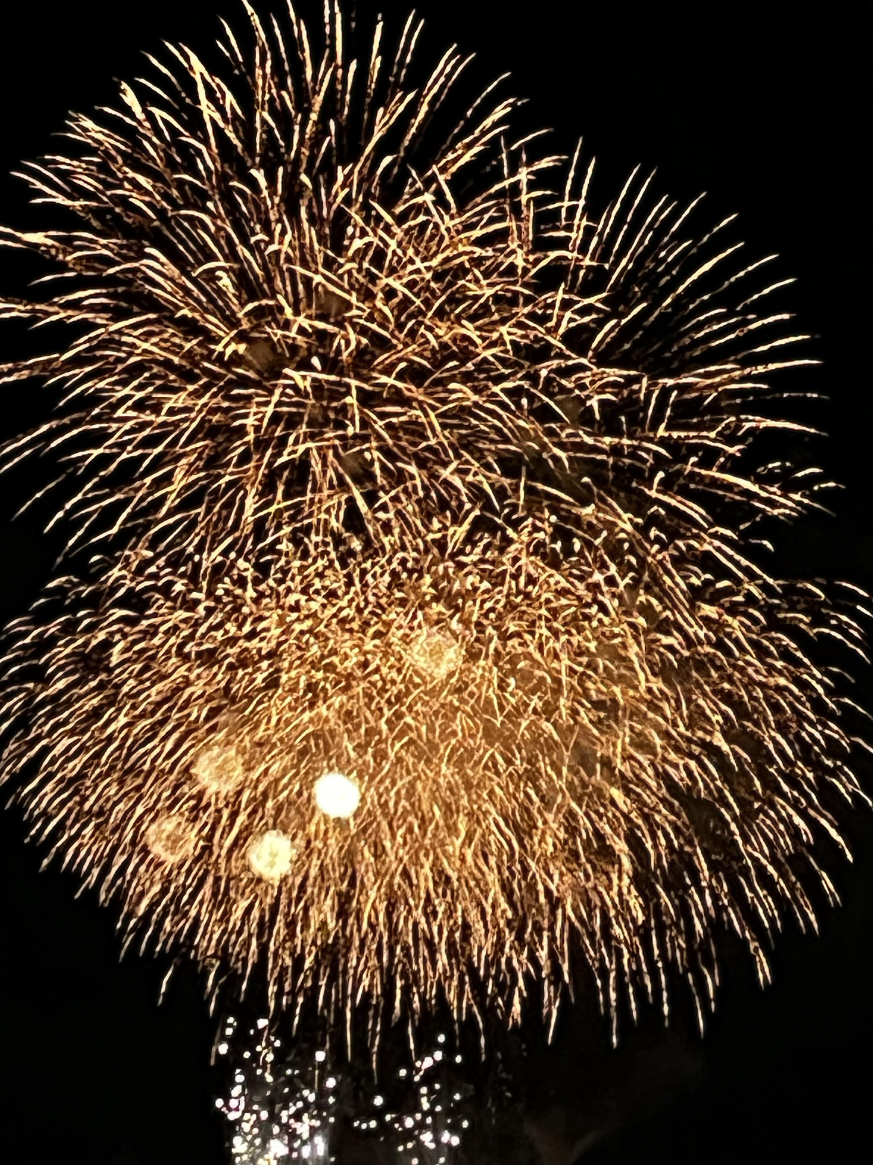 oowadahanabitaikai202607253