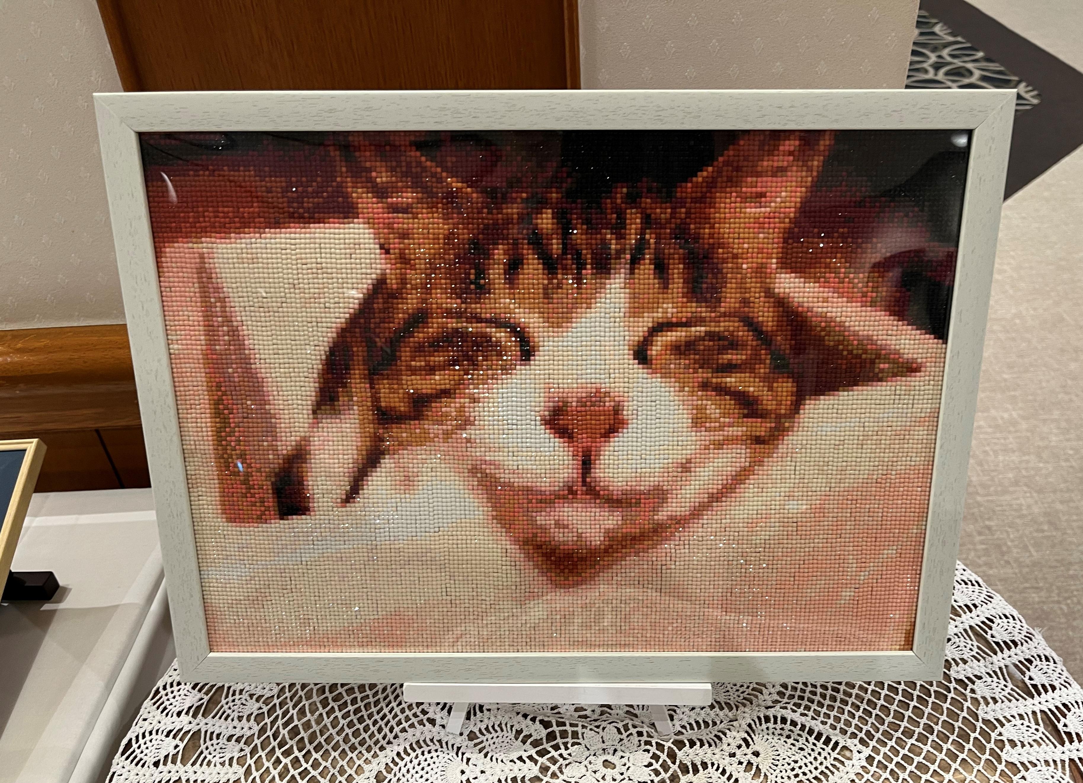 文化祭展示202510273