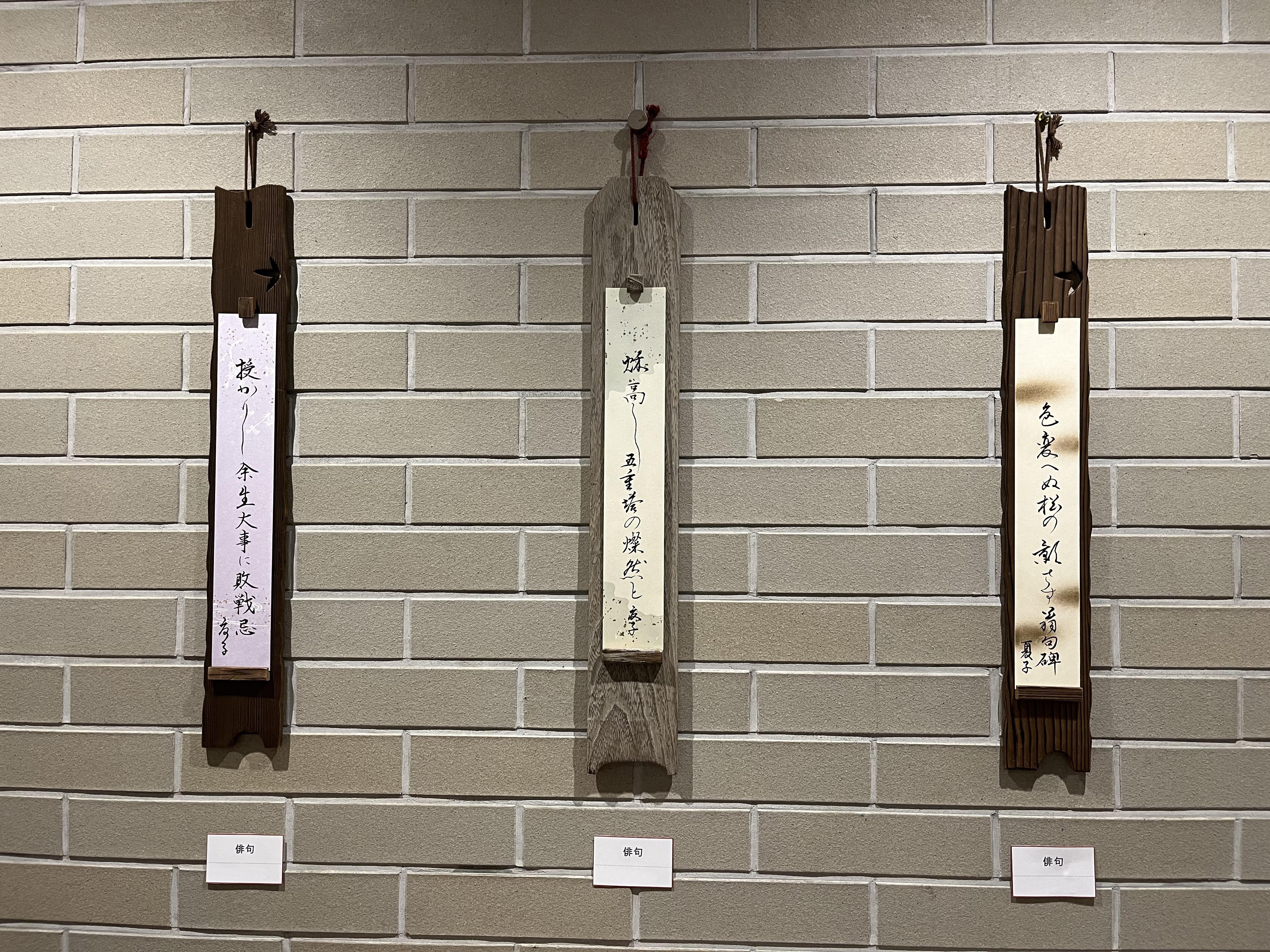 文化祭展示202510272r