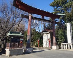 初詣バスツアー　〜鷲宮神社〜