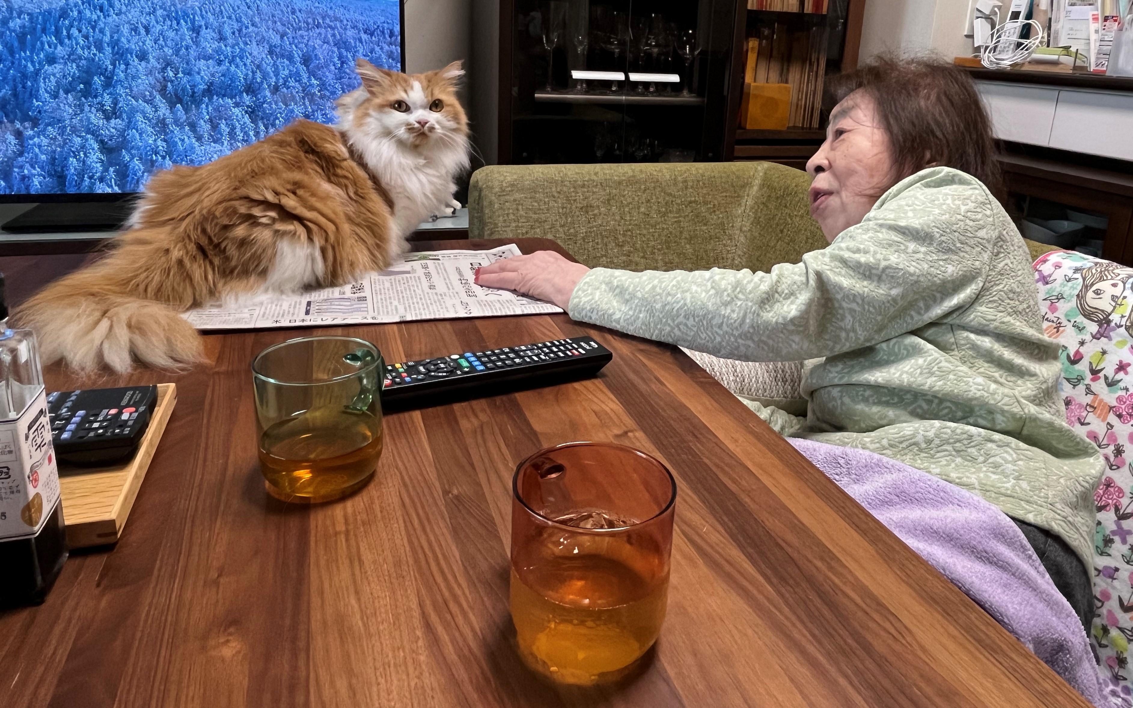 202607care①
