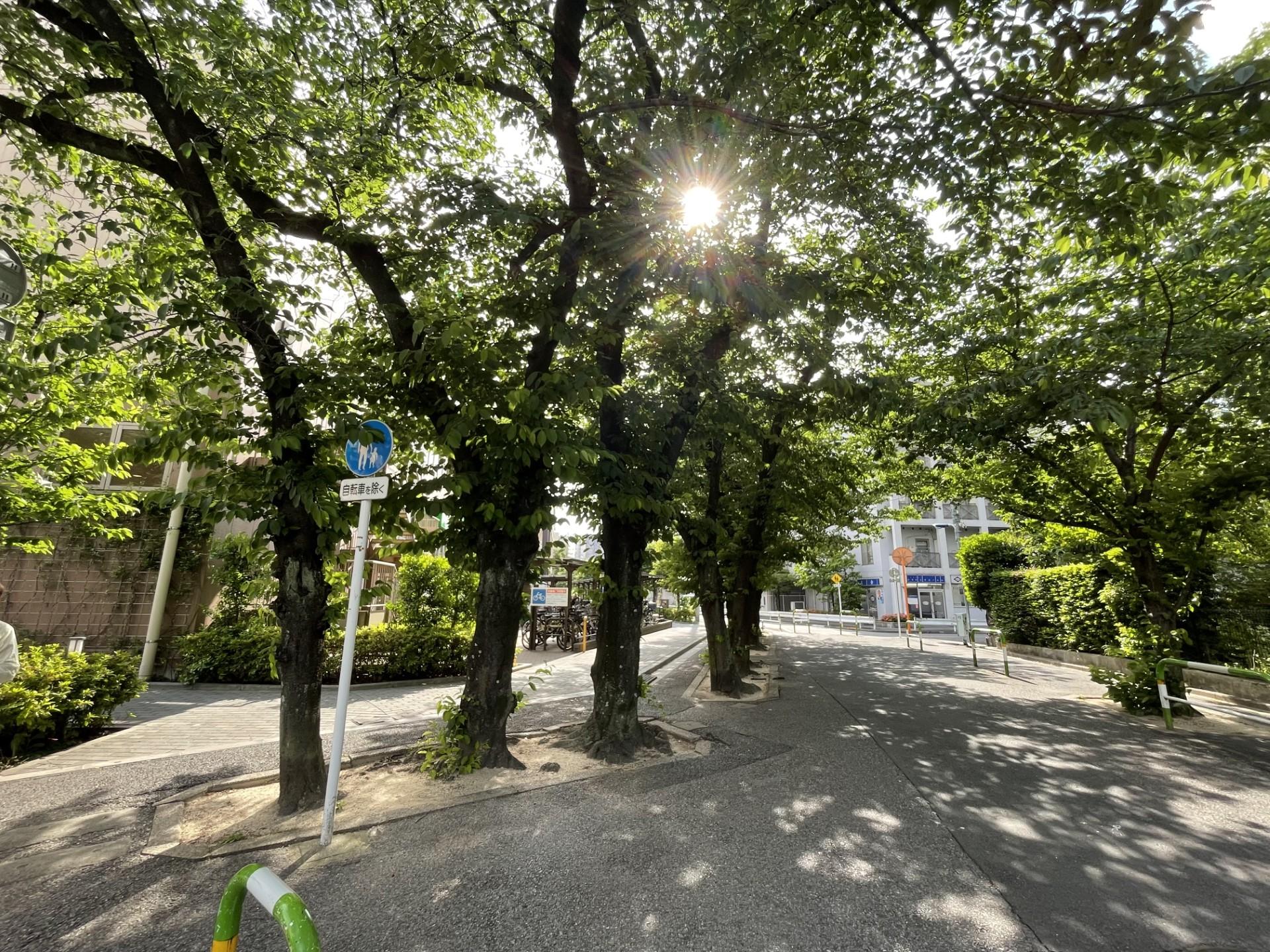 2ouji250530