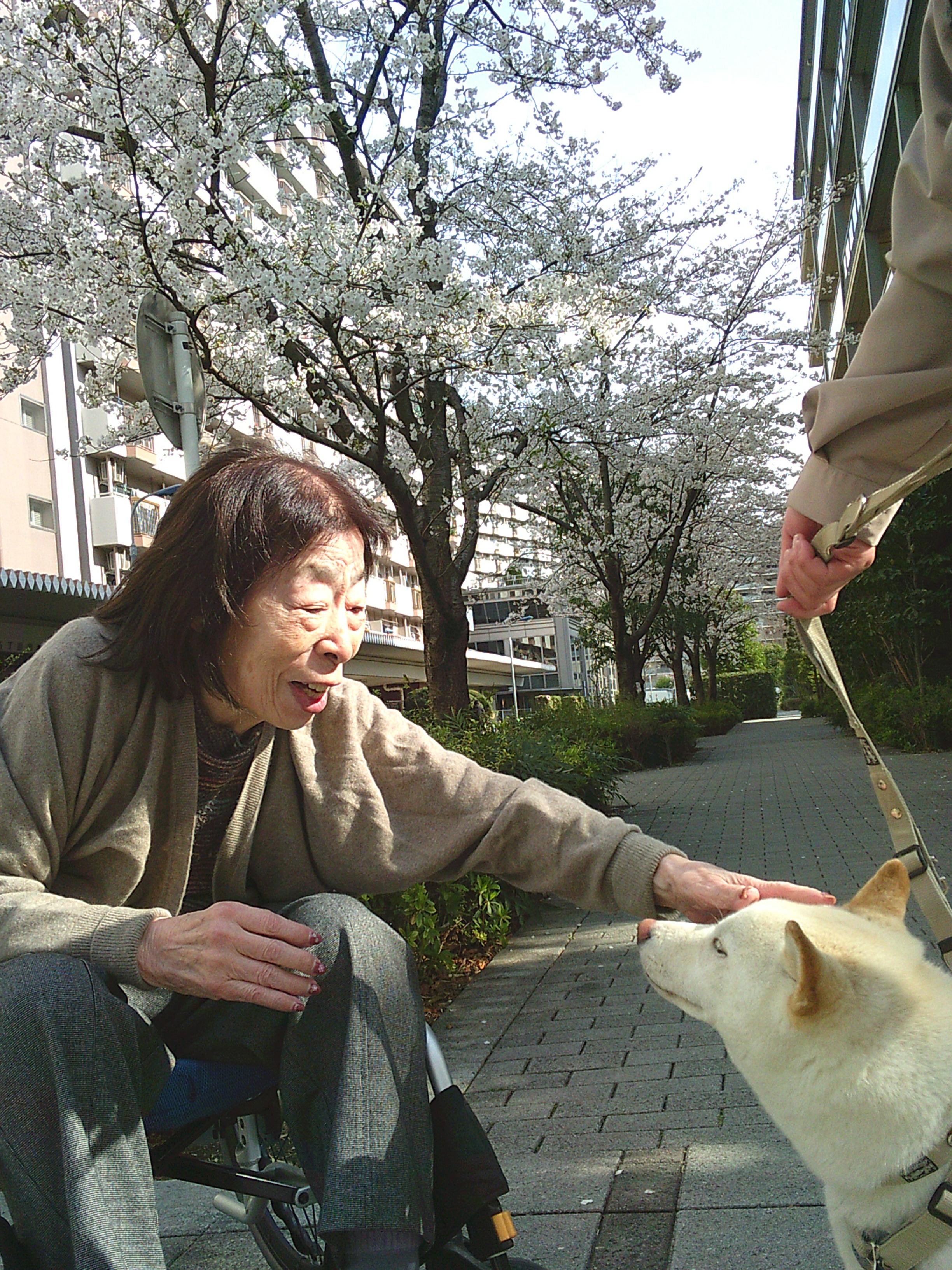 5-4ouji20250430.JPG