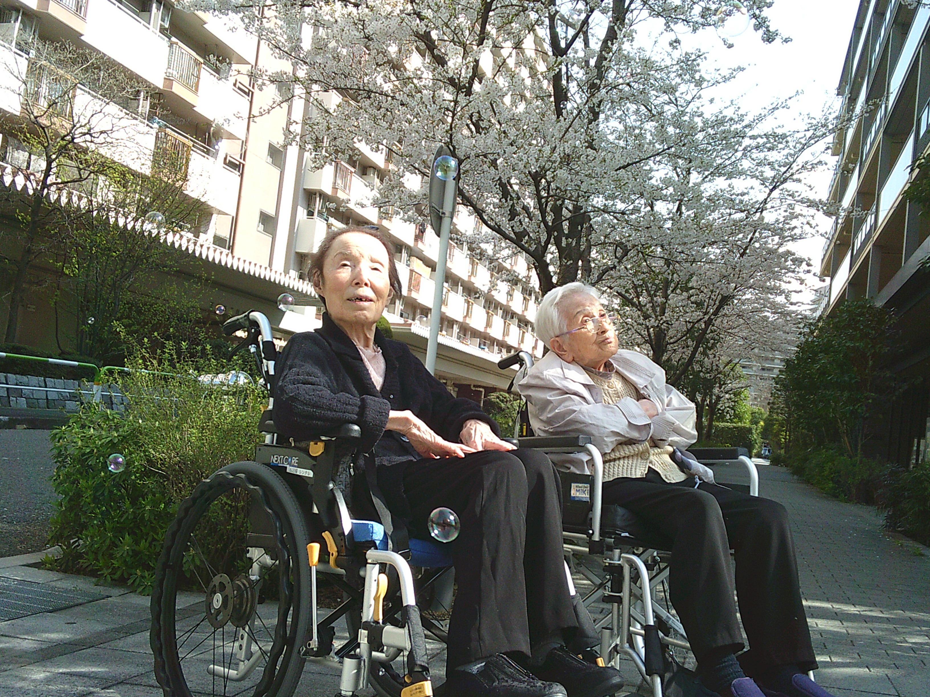 5-1ouji20250430.JPG