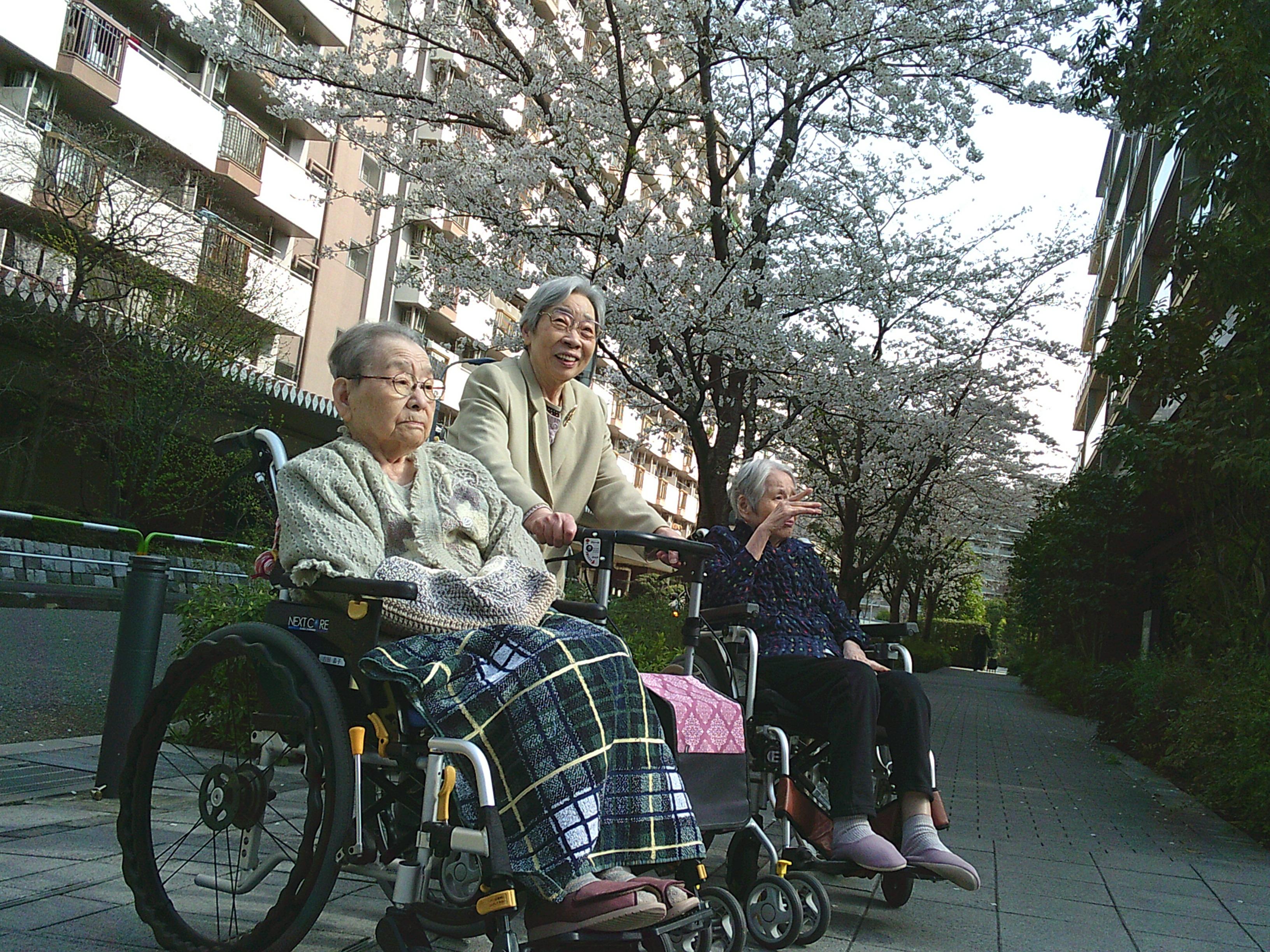5-2ouji20250430.JPG