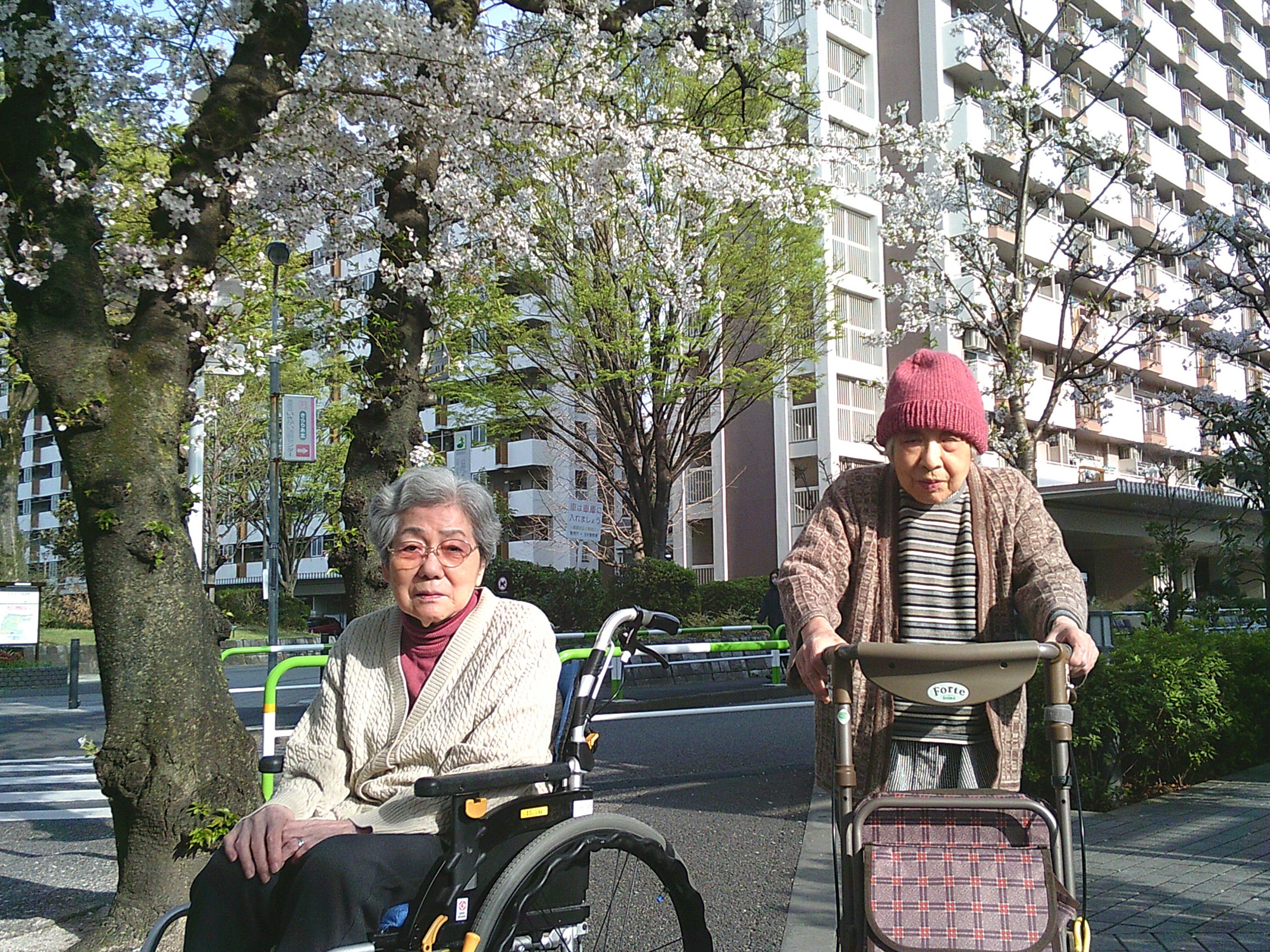 5-3ouji20250430.JPG